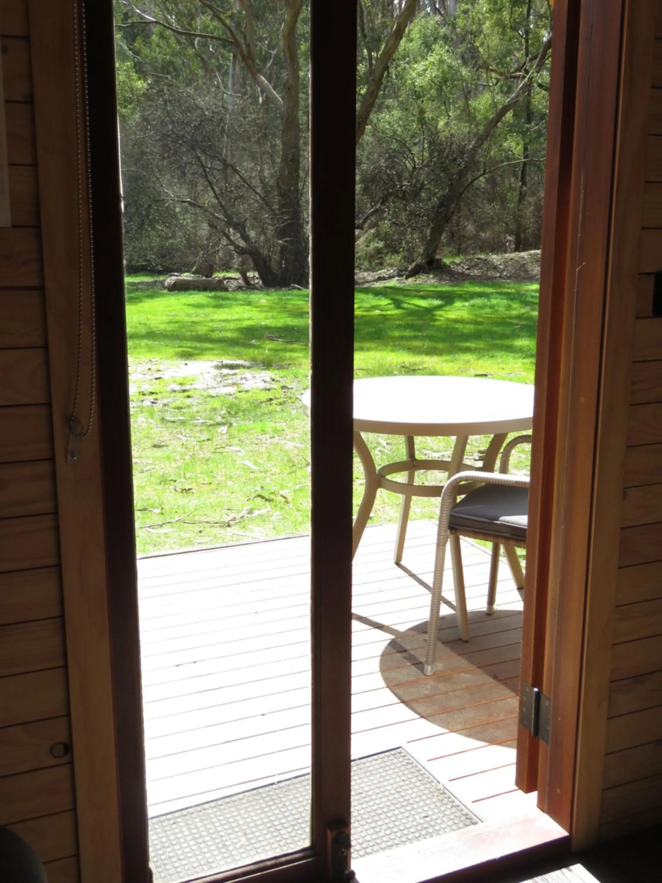 View (from property/room) in Beechworth Holiday Park