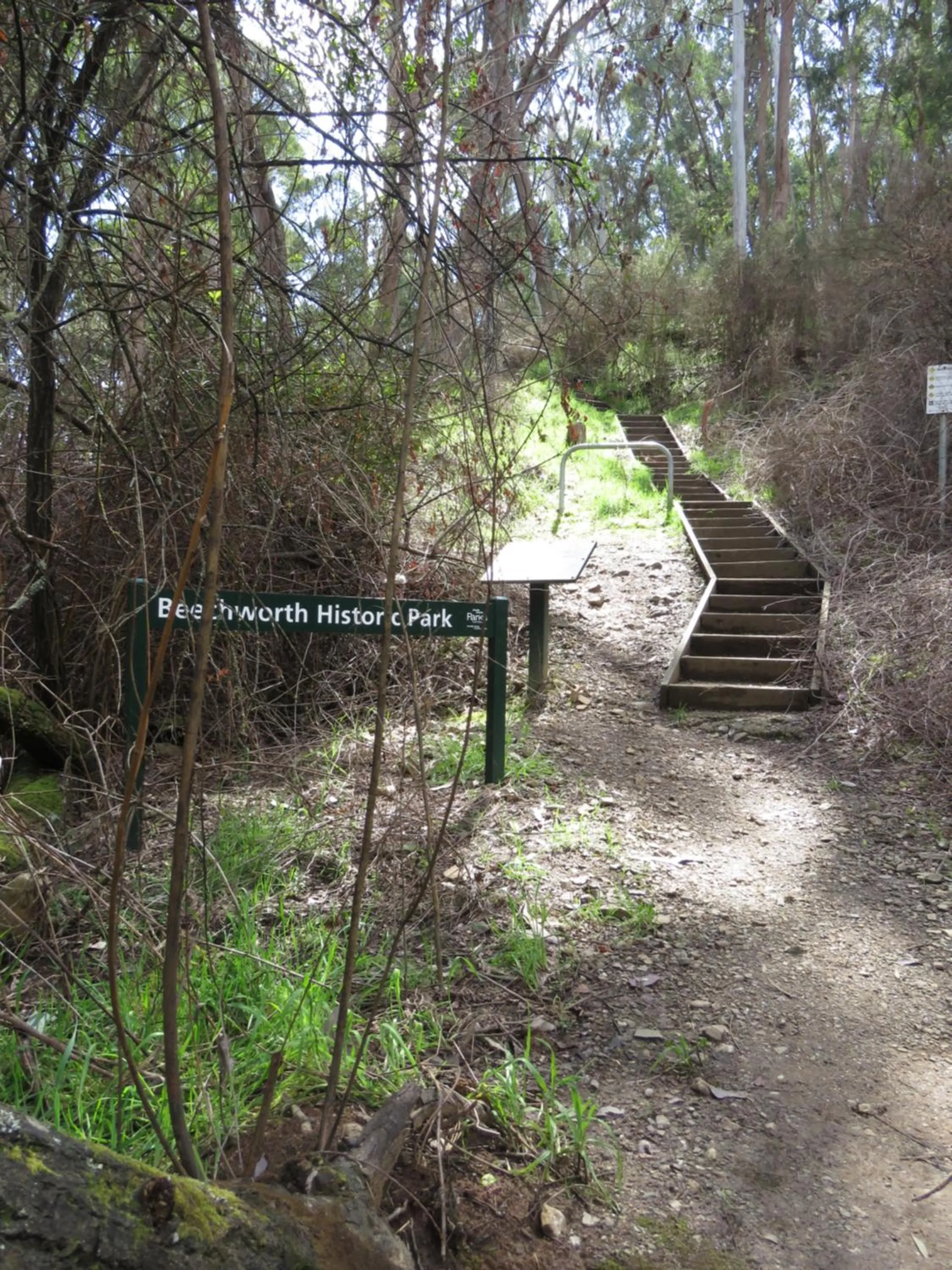 Natural landscape in Beechworth Holiday Park