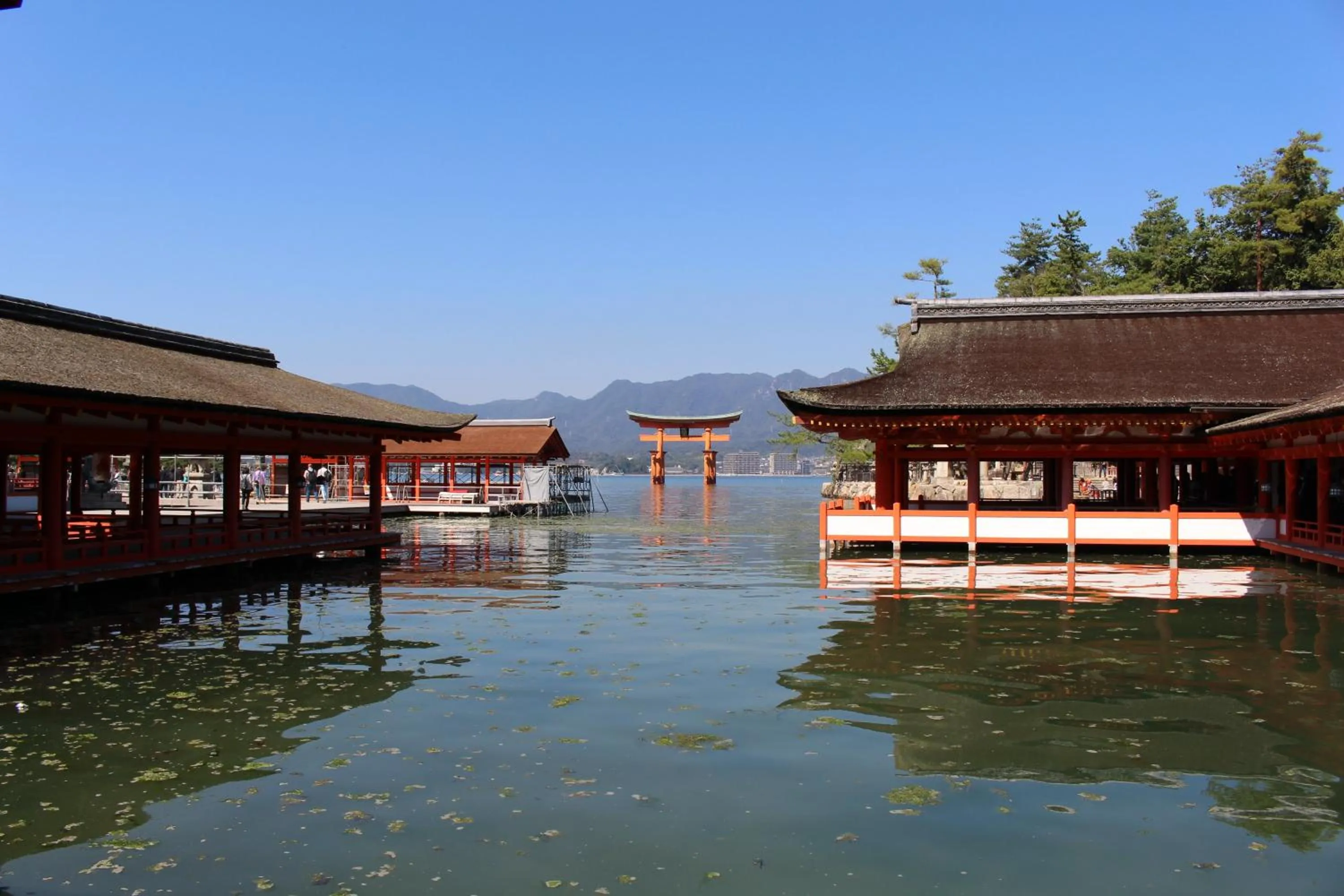 Other in Miyajima Seaside Hotel