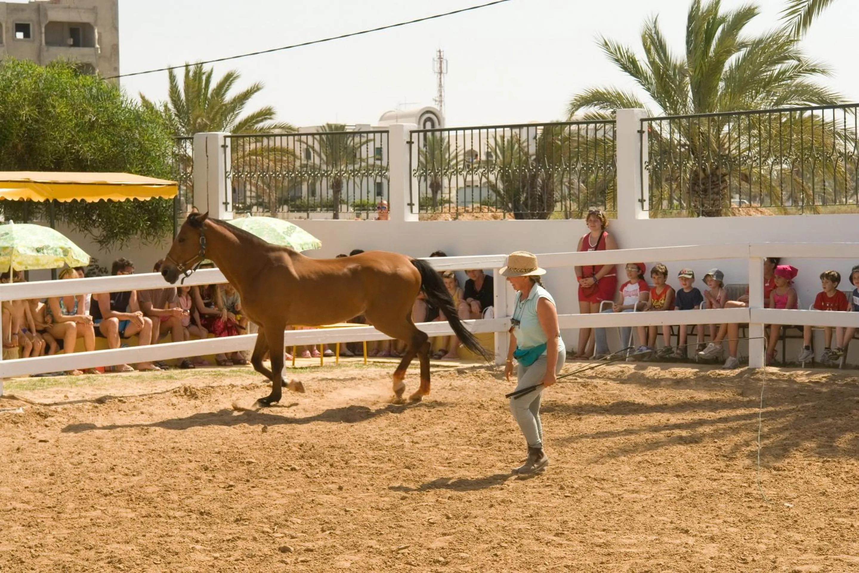 Horse-riding in El Mouradi Cap Mahdia