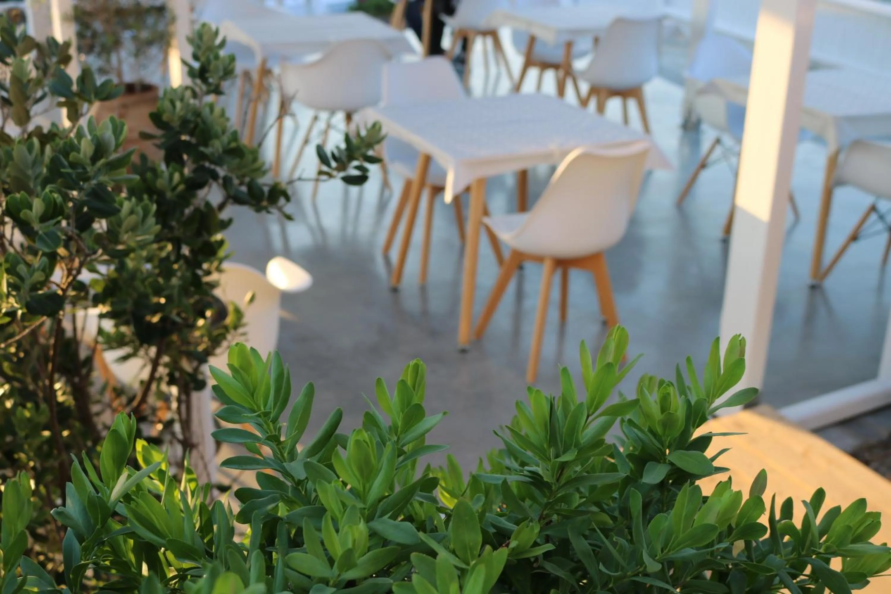 Lounge or bar in Avra Pahainas