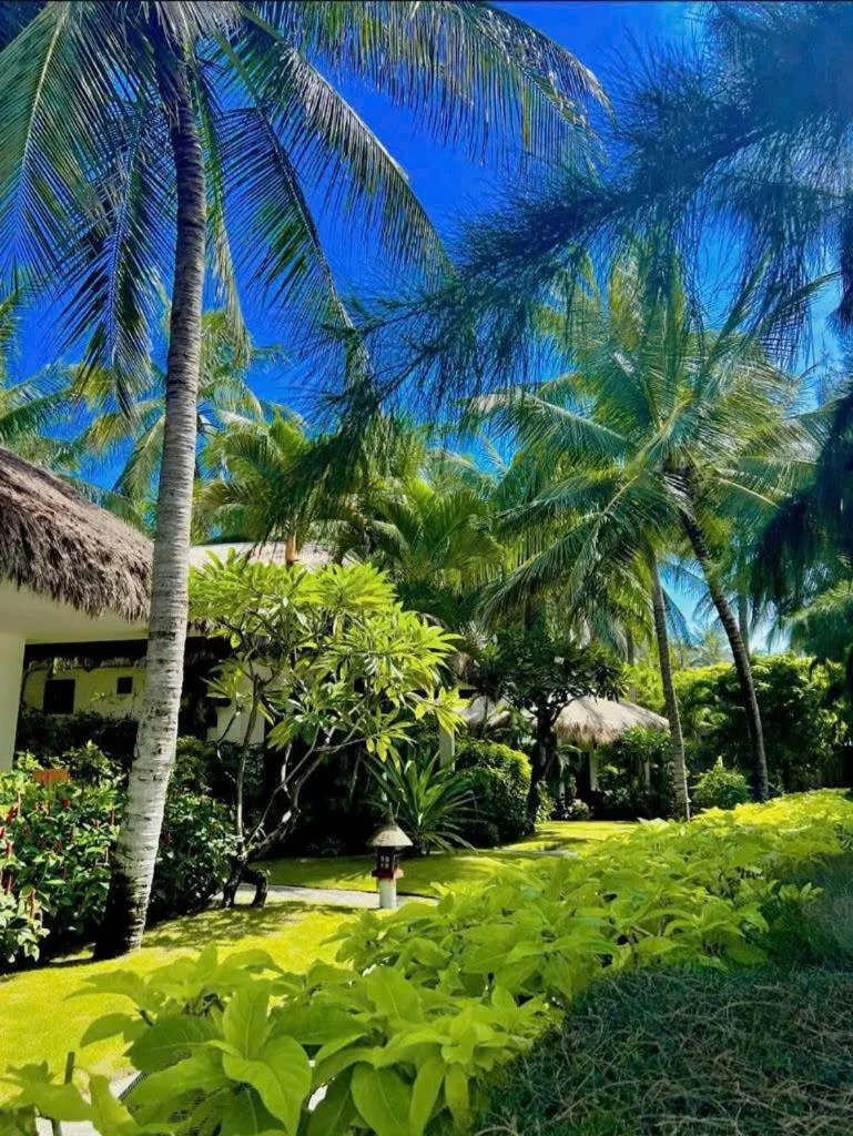 Garden in Cham Villas Resort