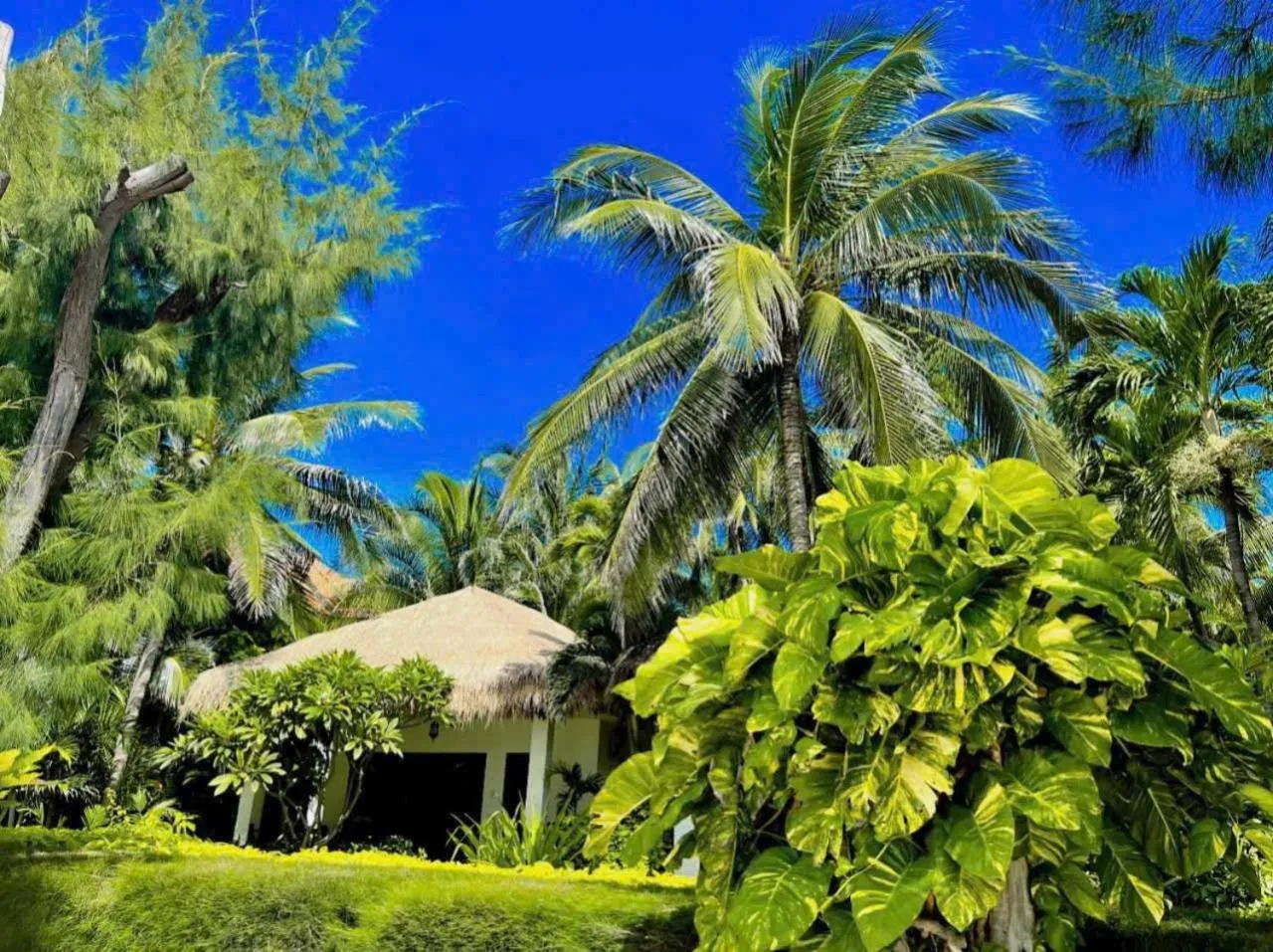 Natural landscape in Cham Villas Resort