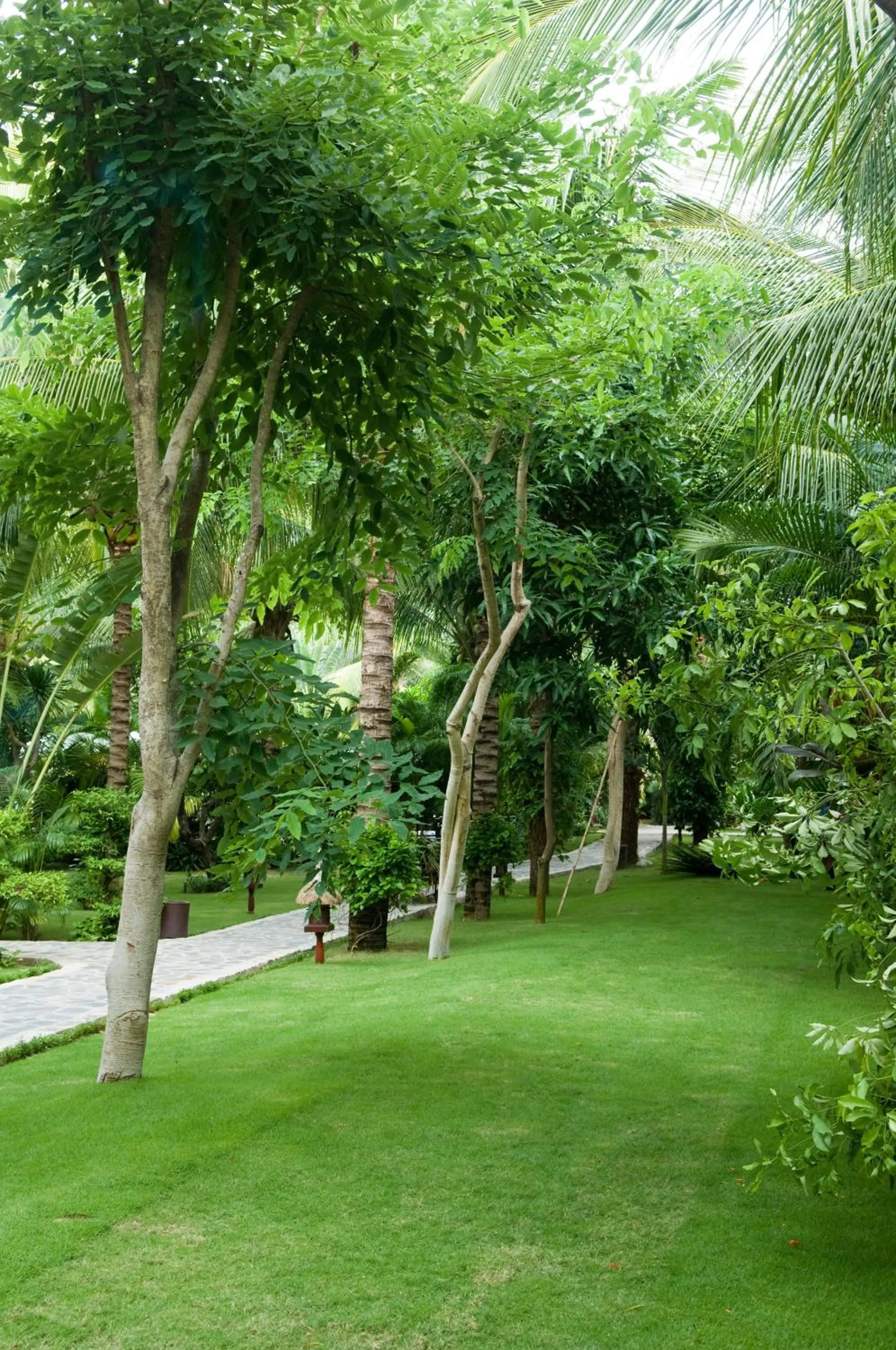 Garden in Cham Villas Resort
