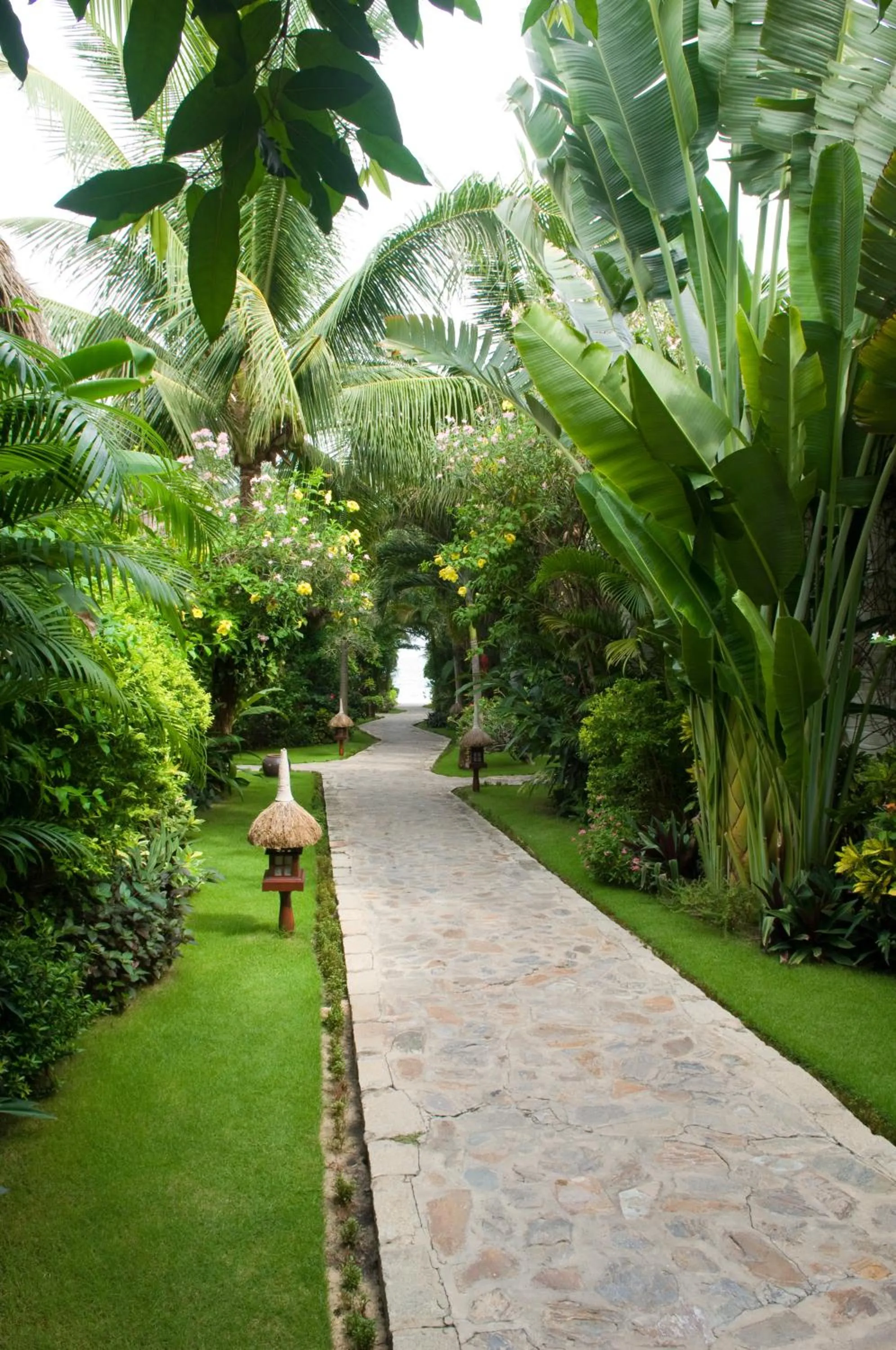 Garden in Cham Villas Resort