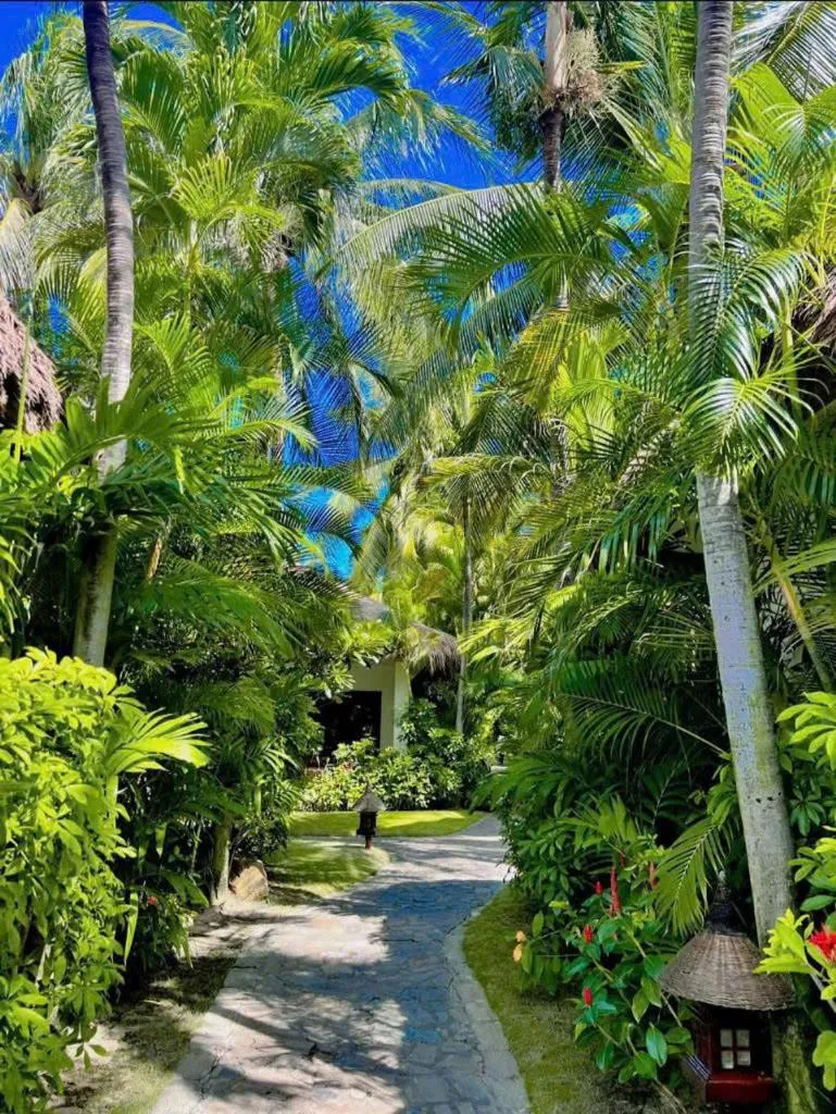 Garden in Cham Villas Resort