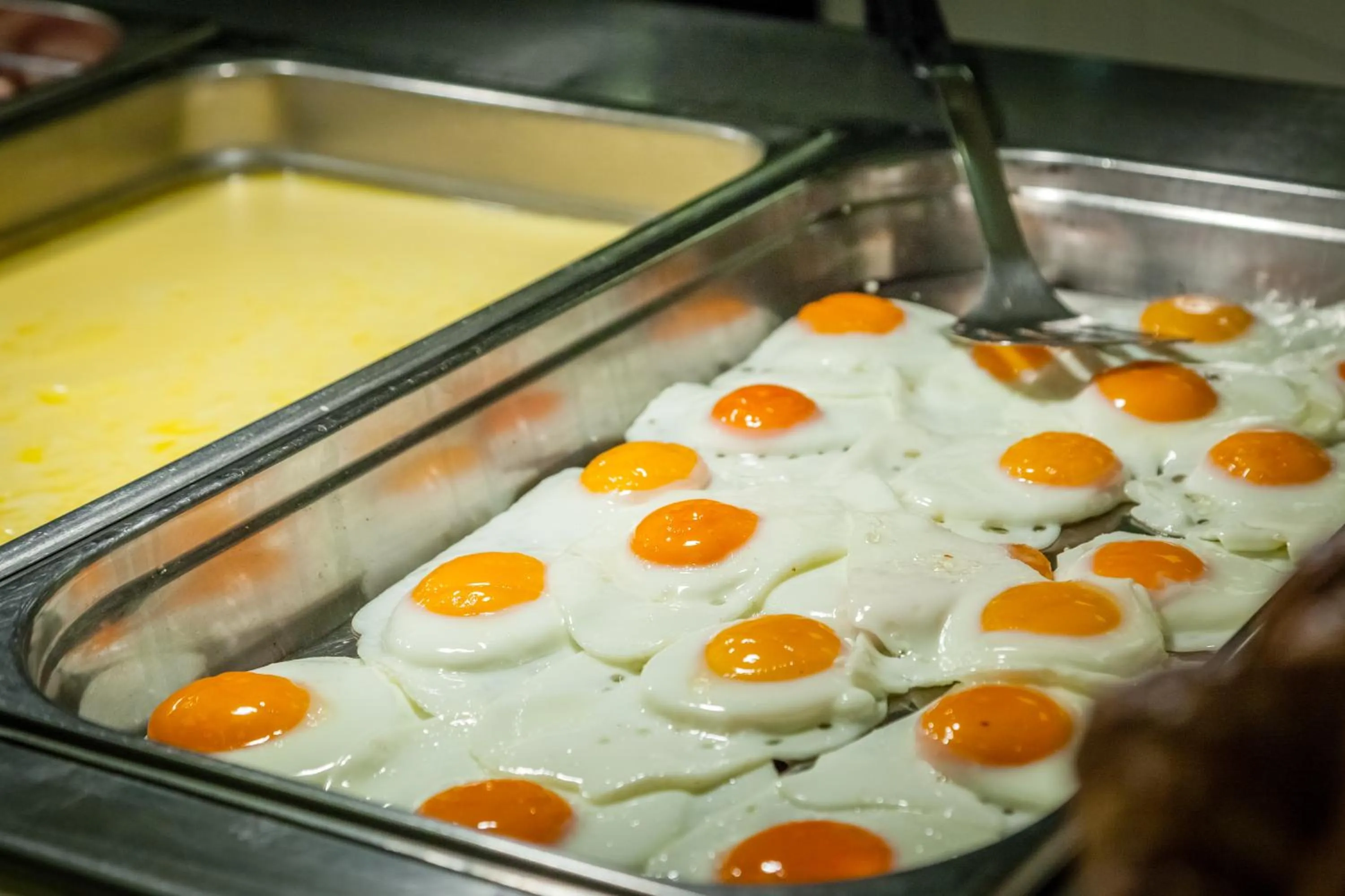 Food and drinks in LSE Passfield Hall