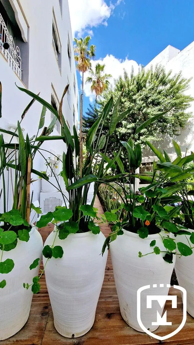 Garden in Hotel La Residence Hammamet