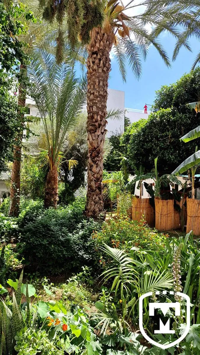 Garden in Hotel La Residence Hammamet