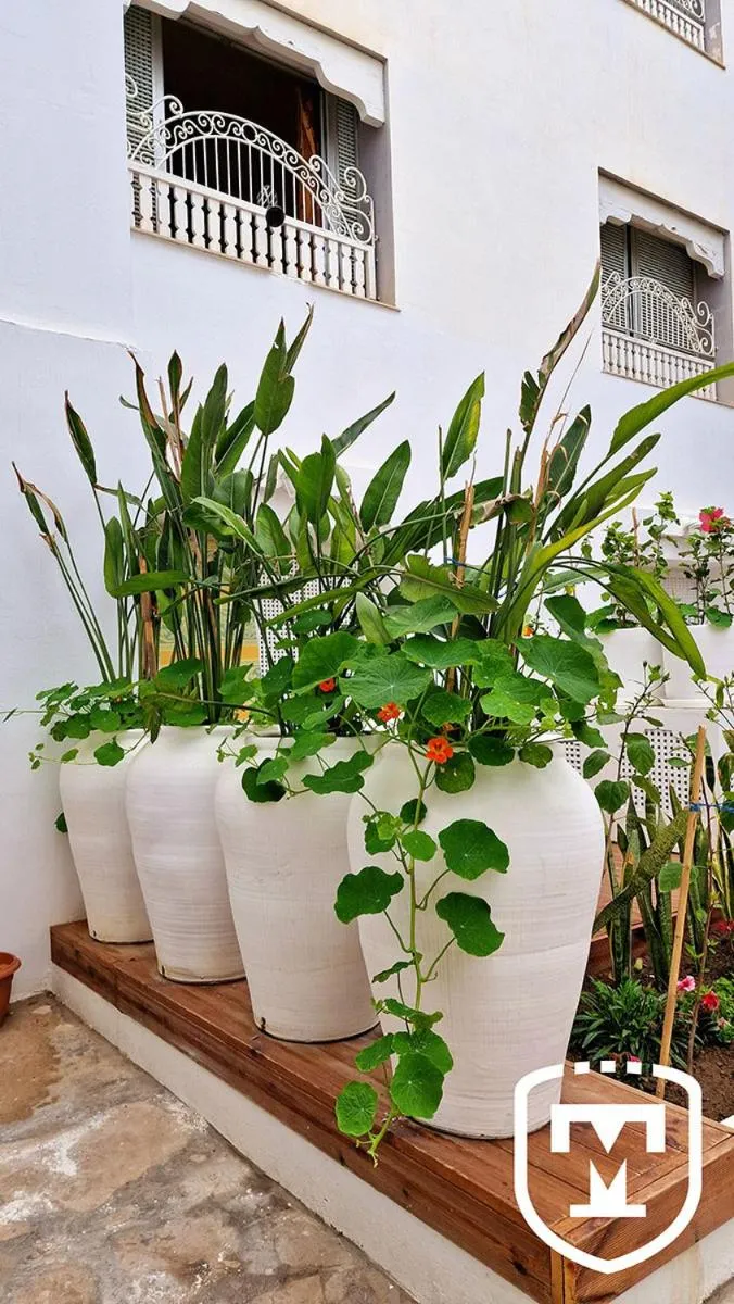 Garden in Hotel La Residence Hammamet