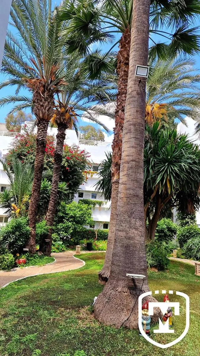 Garden in Hotel La Residence Hammamet