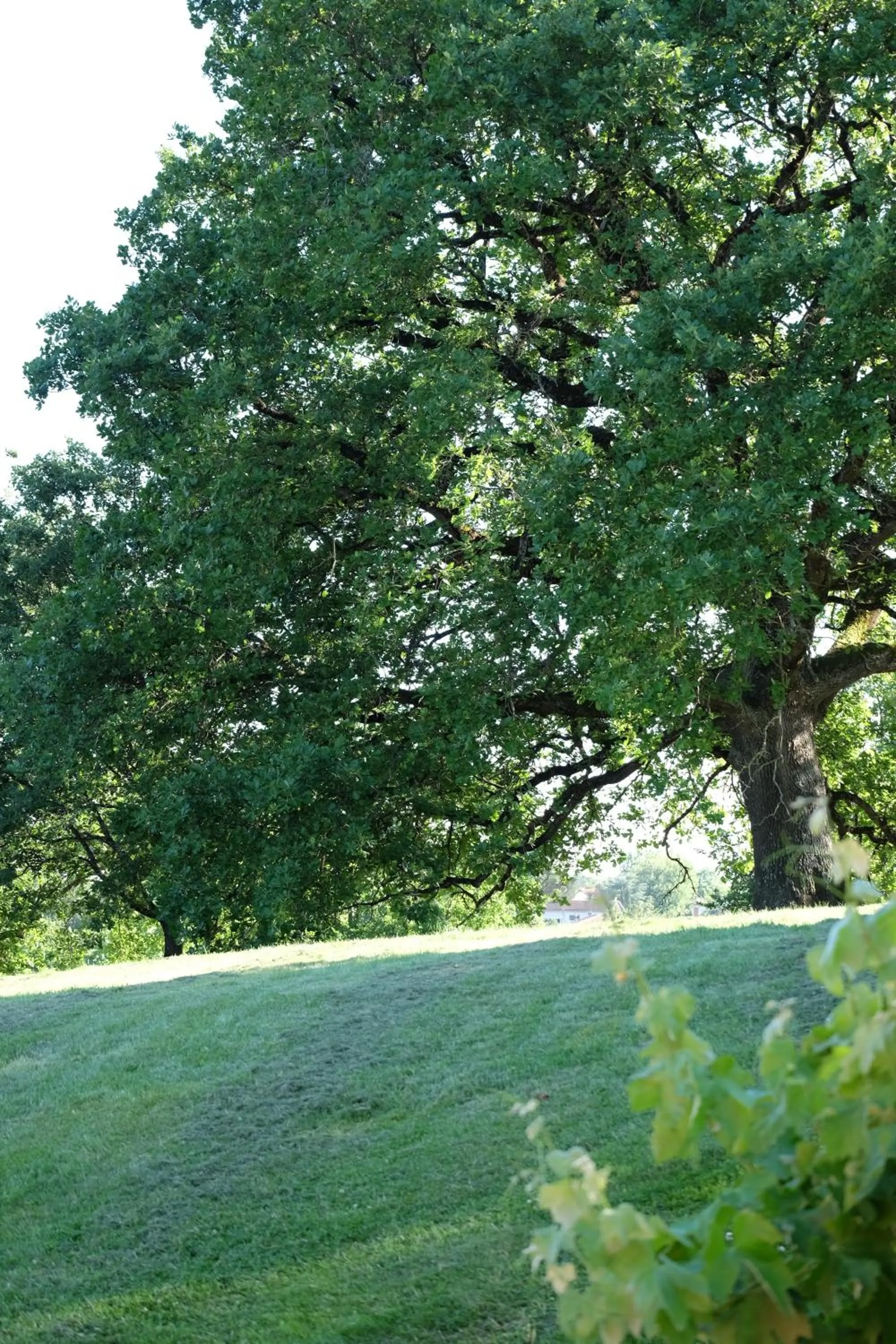 Garden in Résidence Saint Clair
