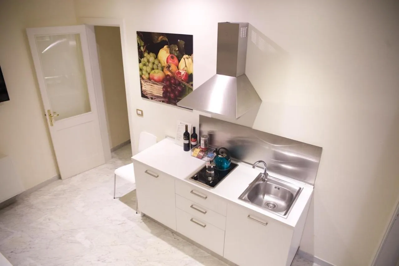 Kitchen or kitchenette in Apollo Suites