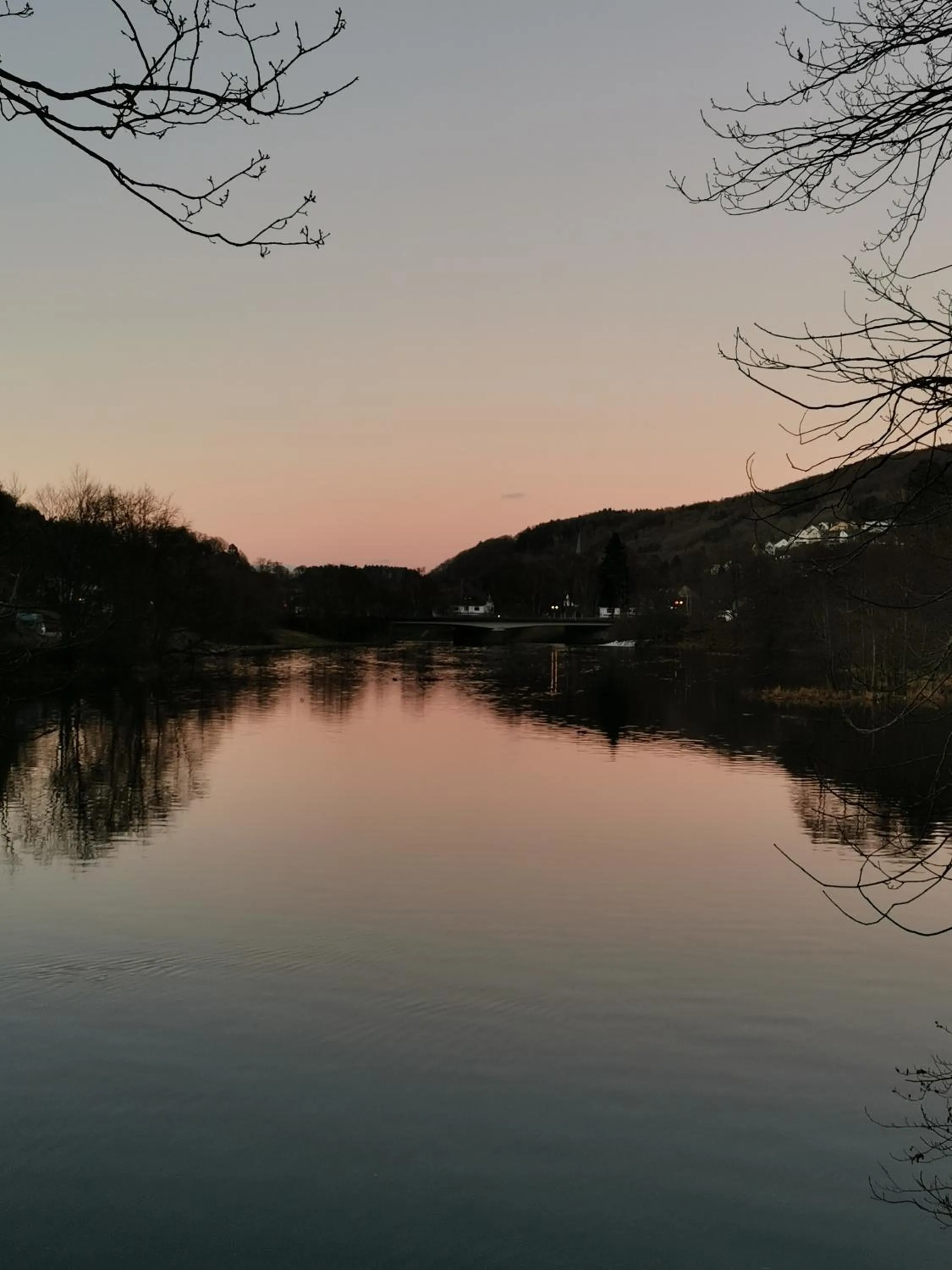 Natural landscape in Hotel Haus am See