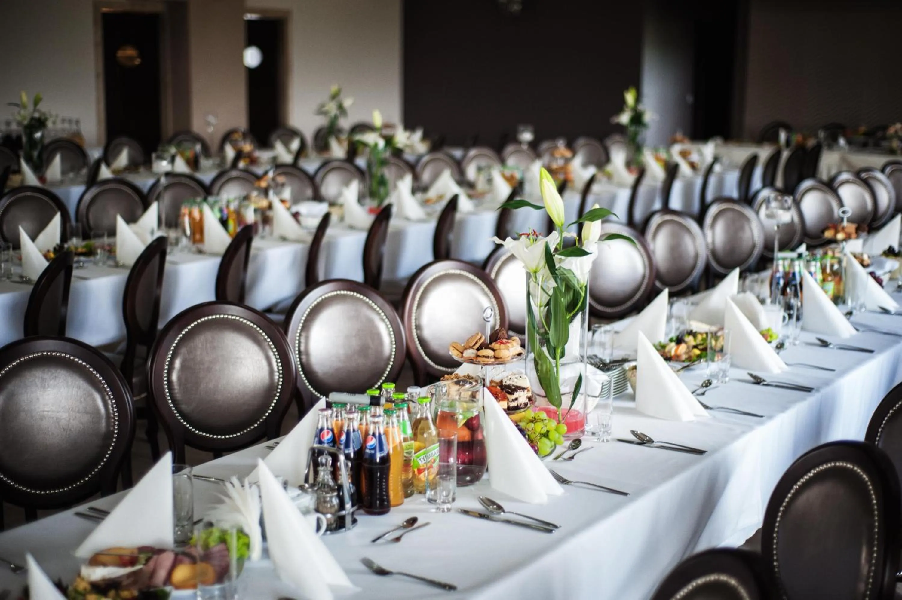 Banquet/Function facilities in Hotel Oriza