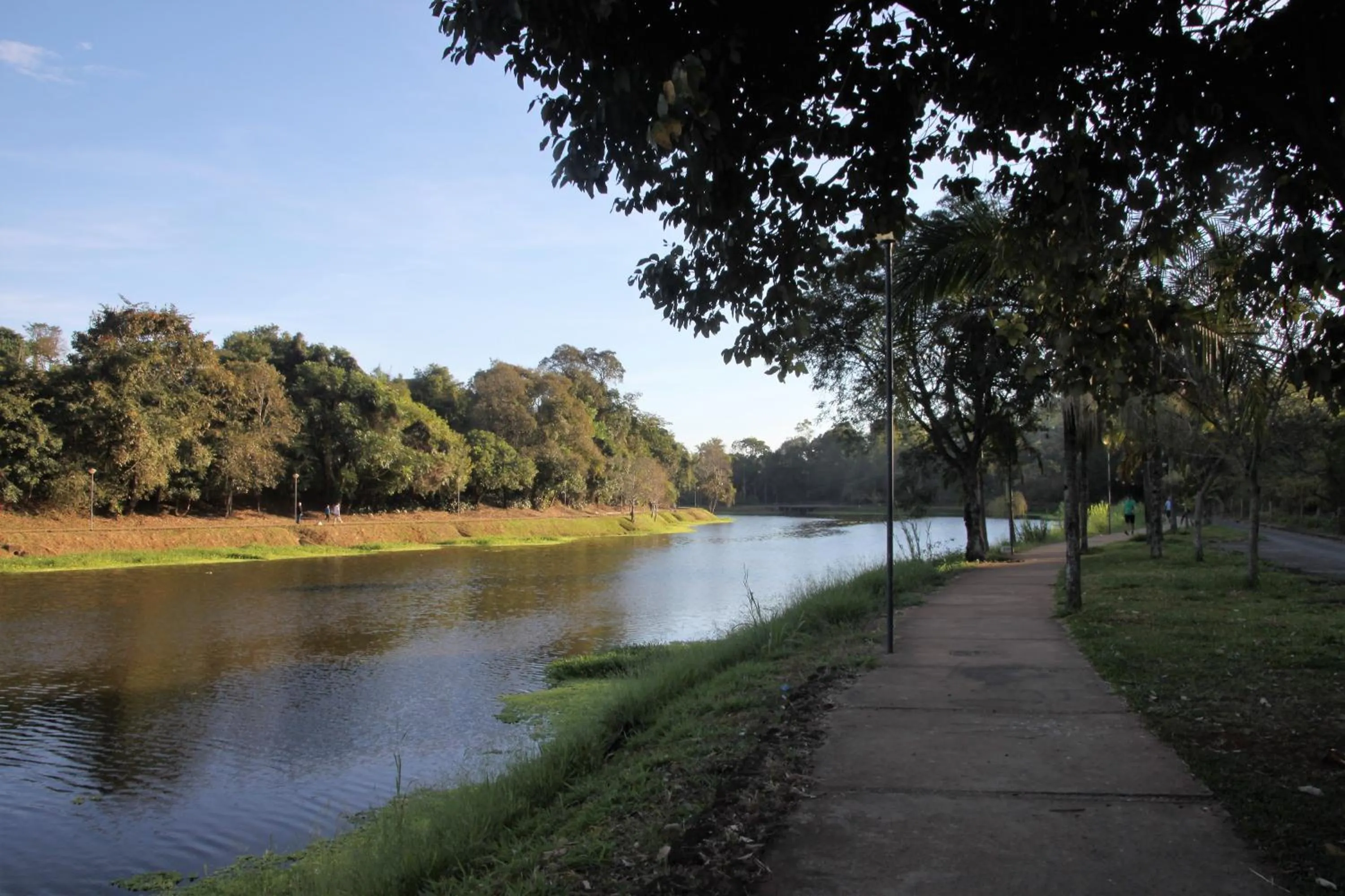 View (from property/room) in Chalé Bosque Do Barreiro