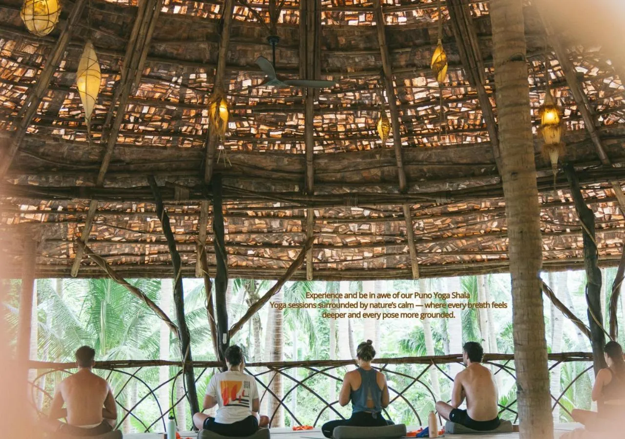 Dryft Darocotan Island