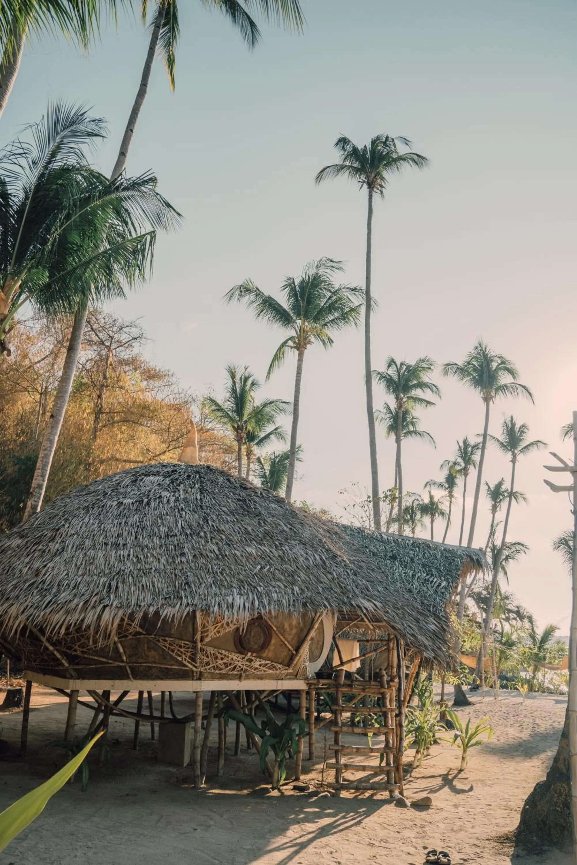 Dryft Darocotan Island