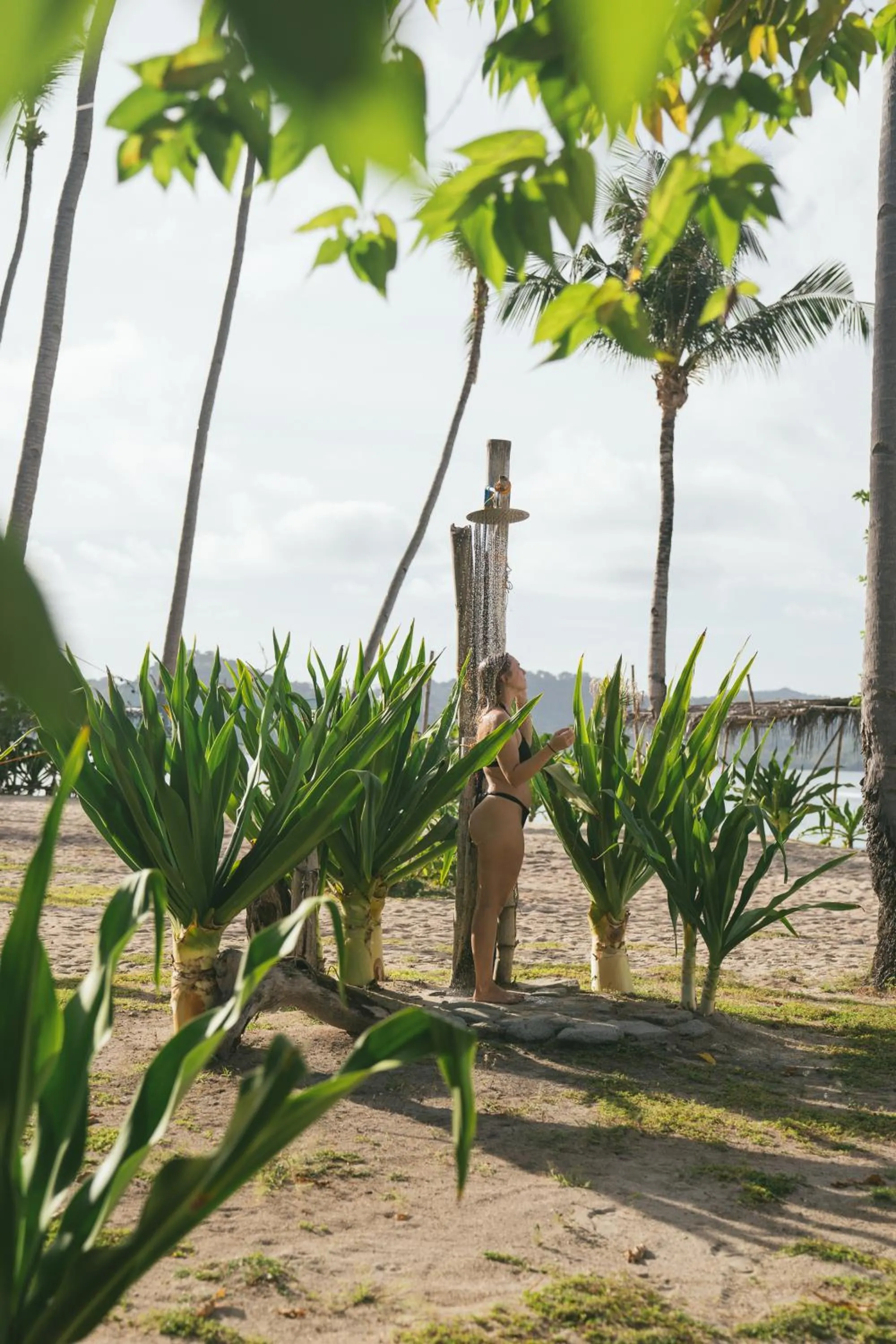 Dryft Darocotan Island