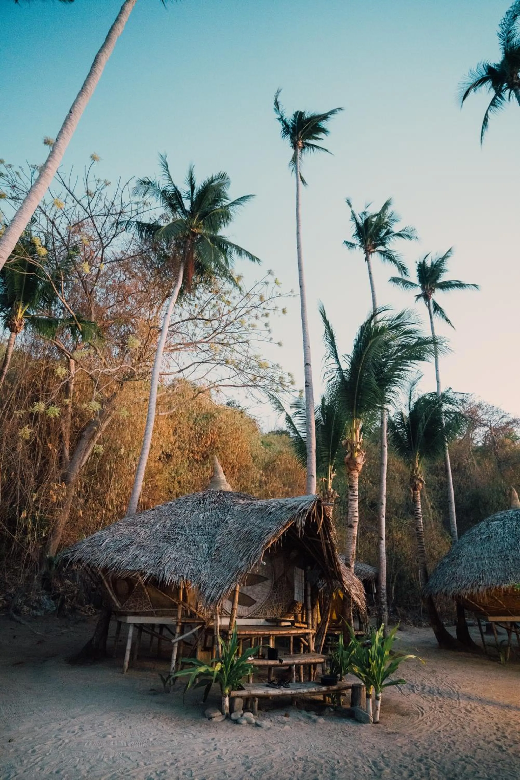 Dryft Darocotan Island