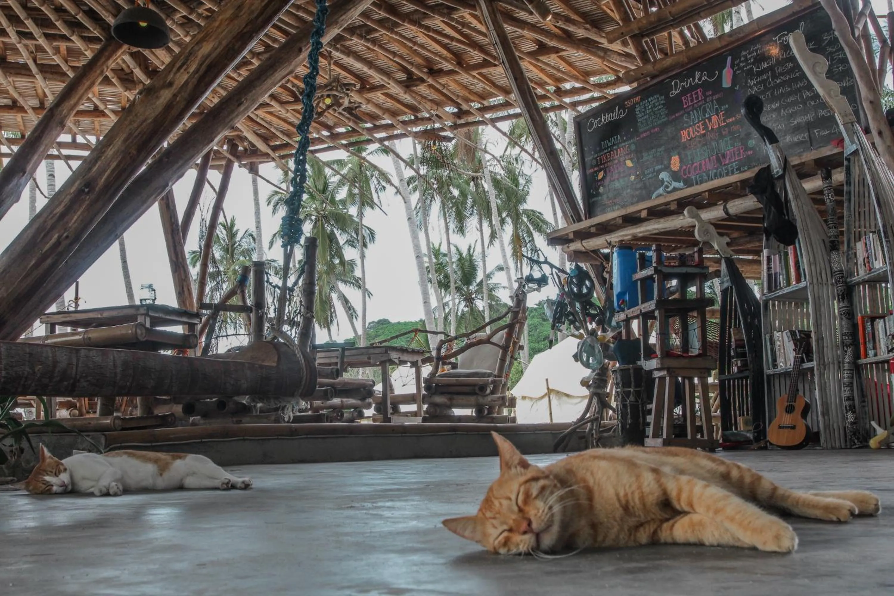 Animals in Dryft Darocotan Island