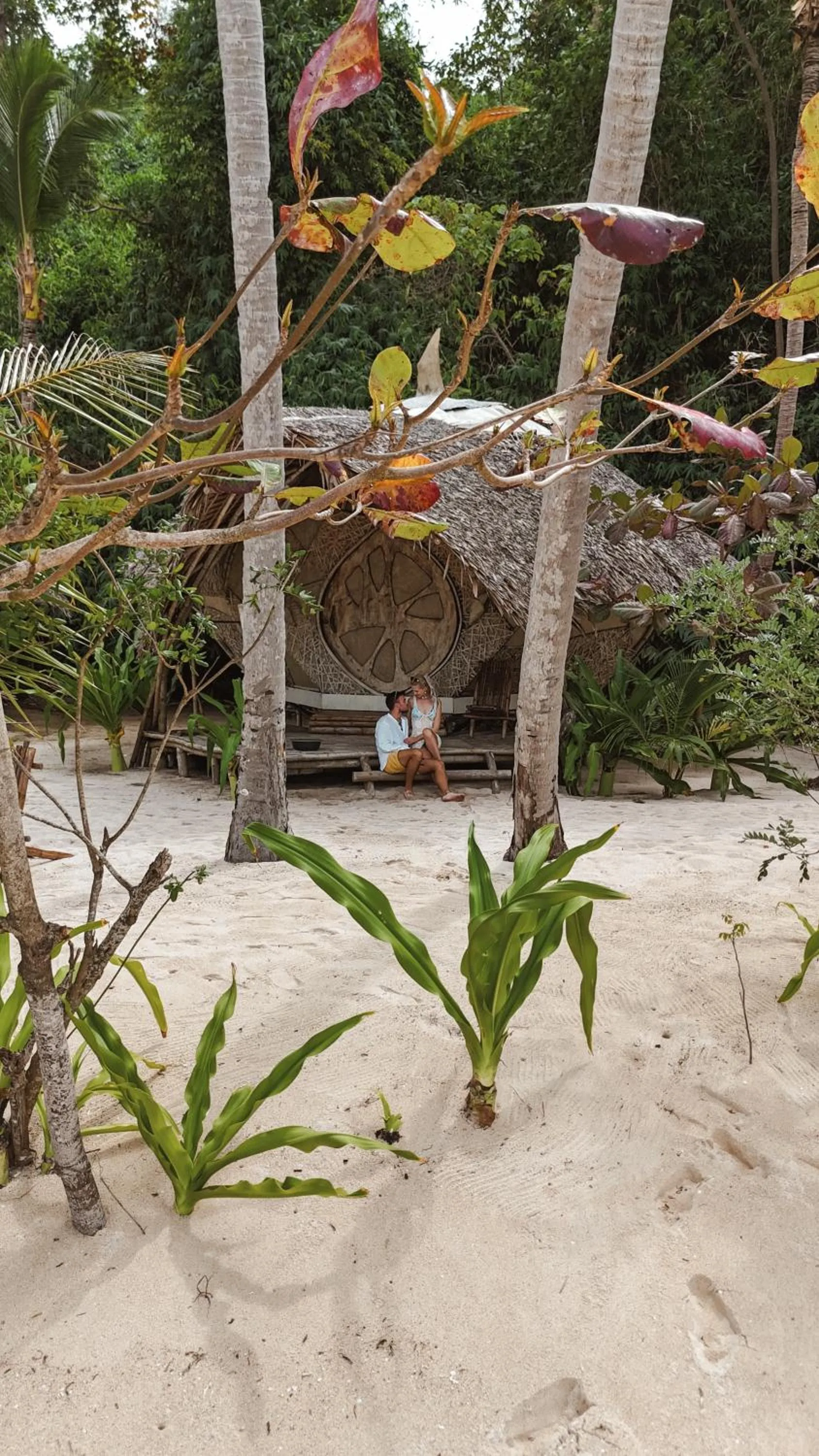 Dryft Darocotan Island