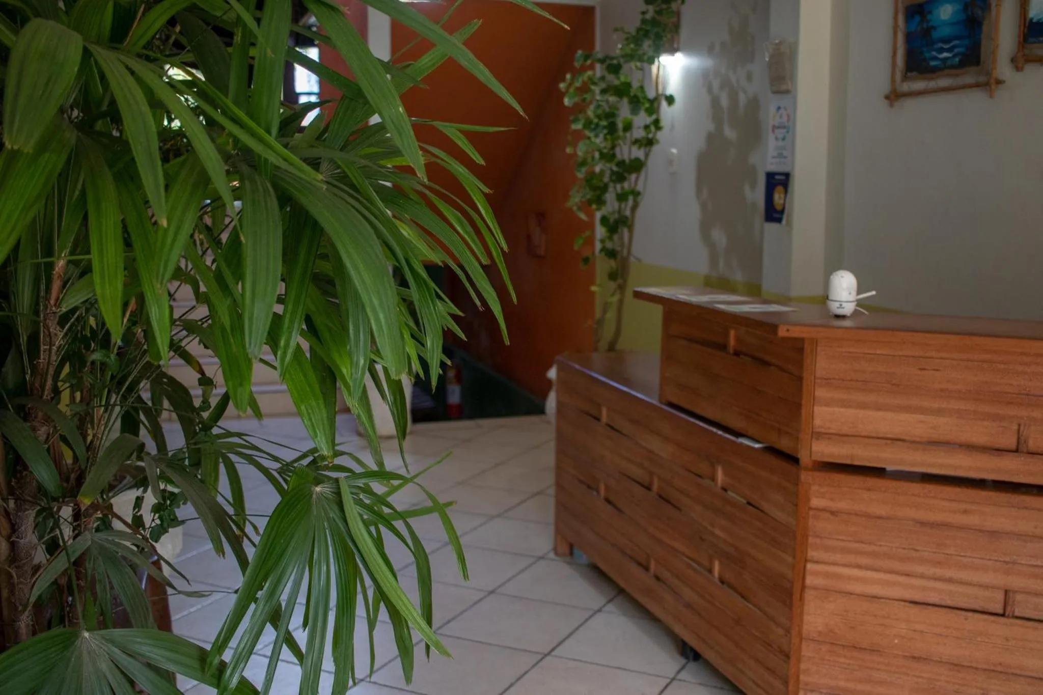 Steam room in Pousada Lanai