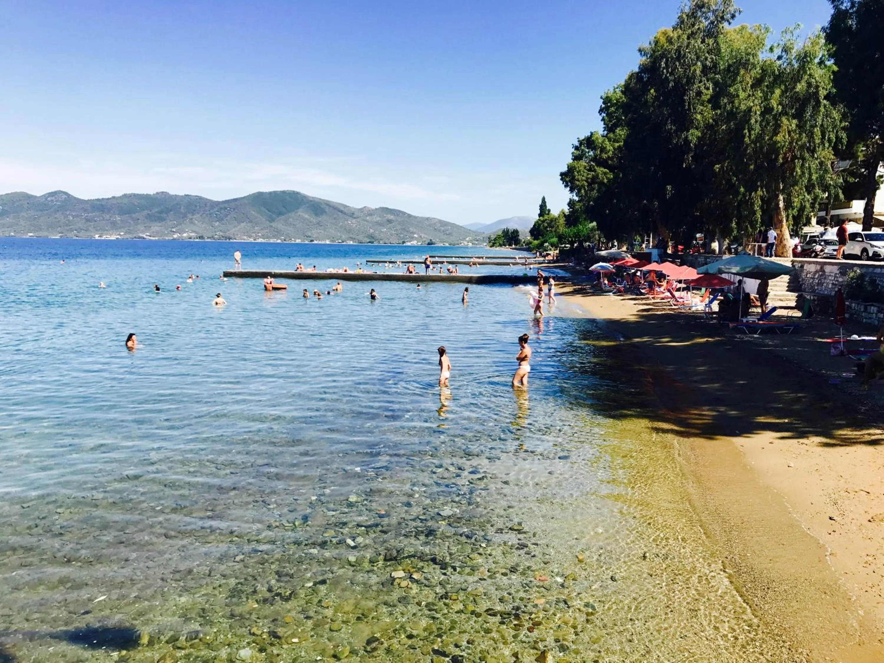Natural landscape in Calypso Beach Hotel