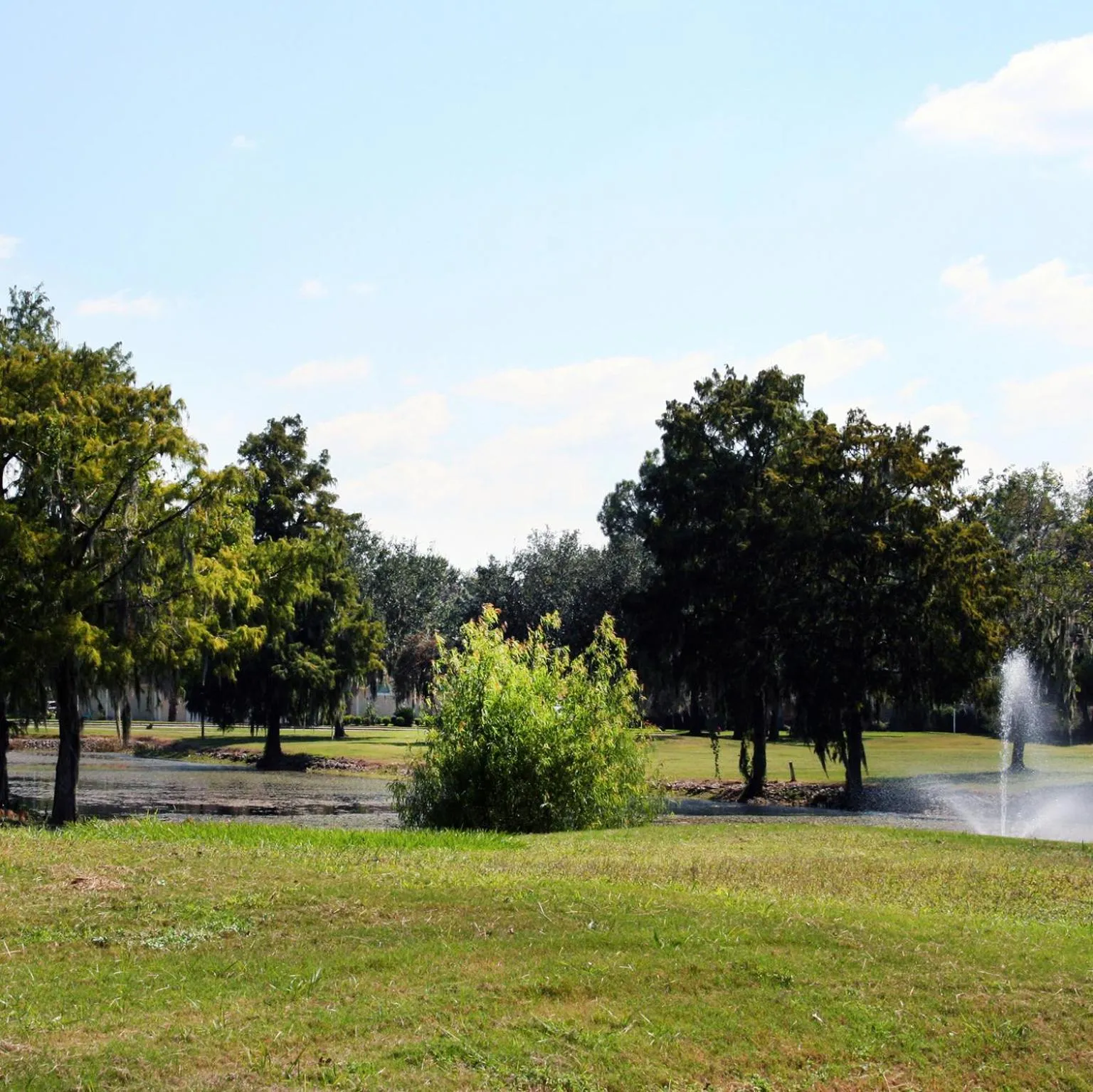 Garden in Lakeview Hotel