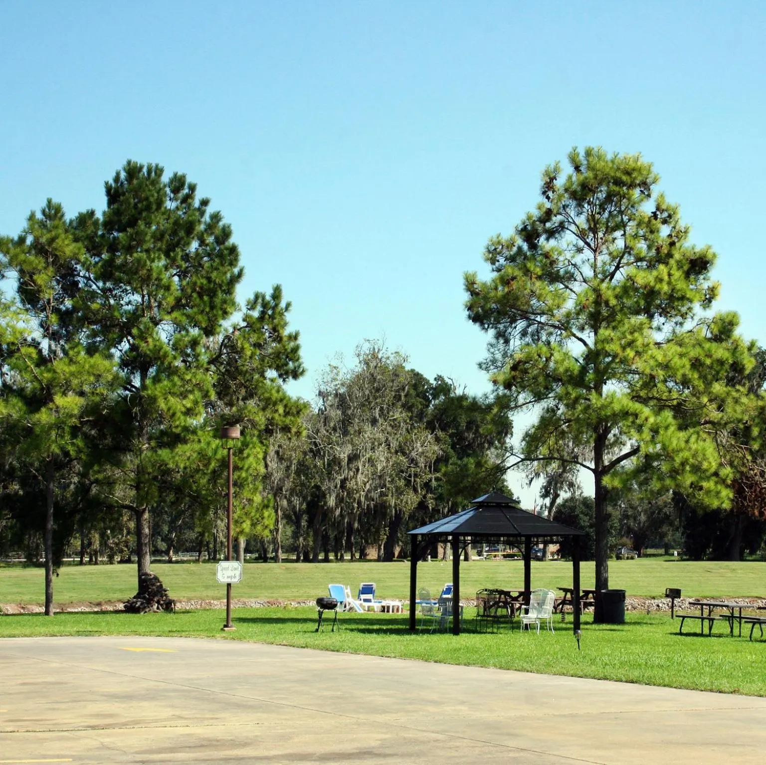 Garden, Other Activities in Lakeview Hotel