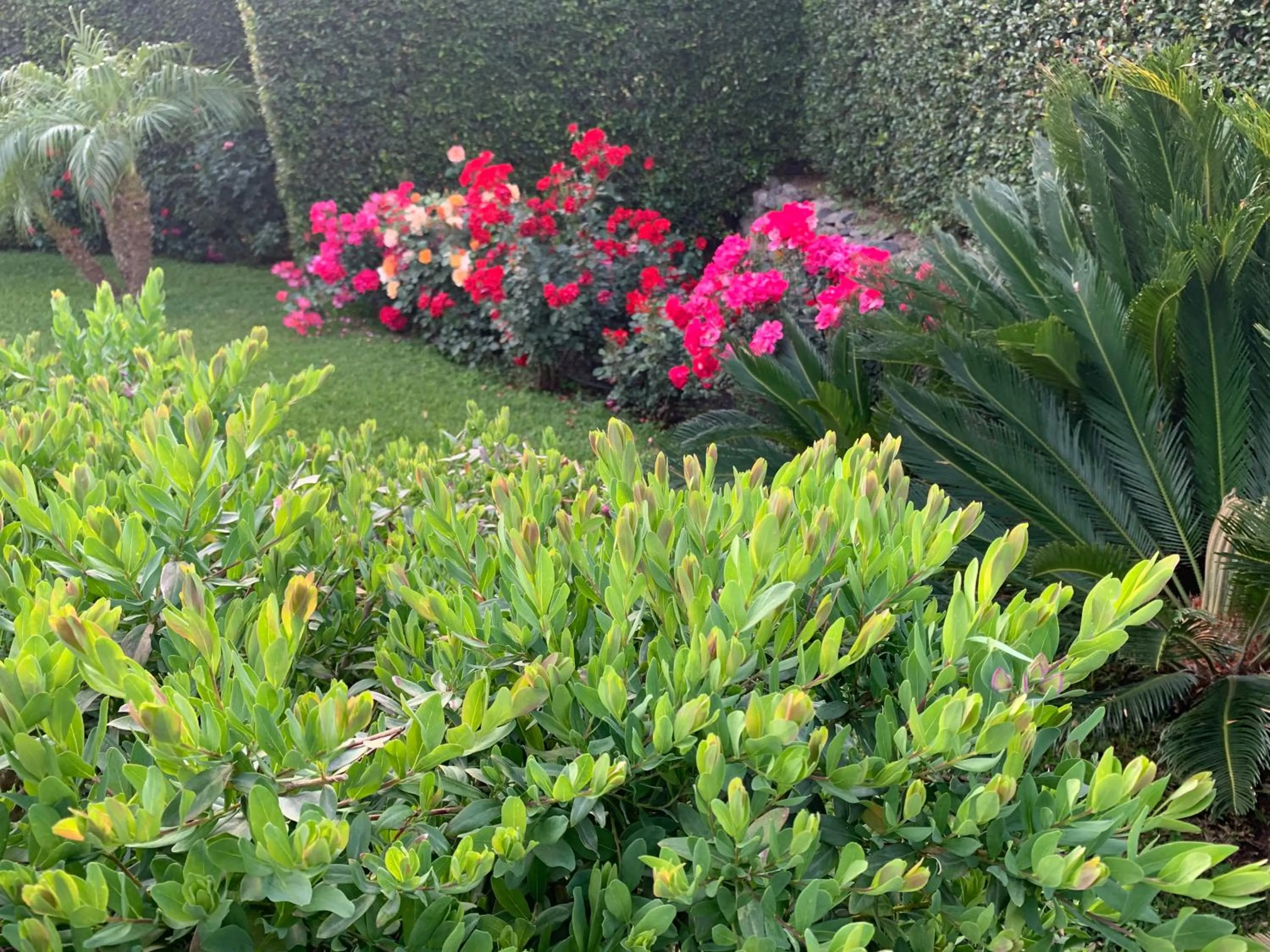 Spring in Feudogrande Bio Relais Hotel