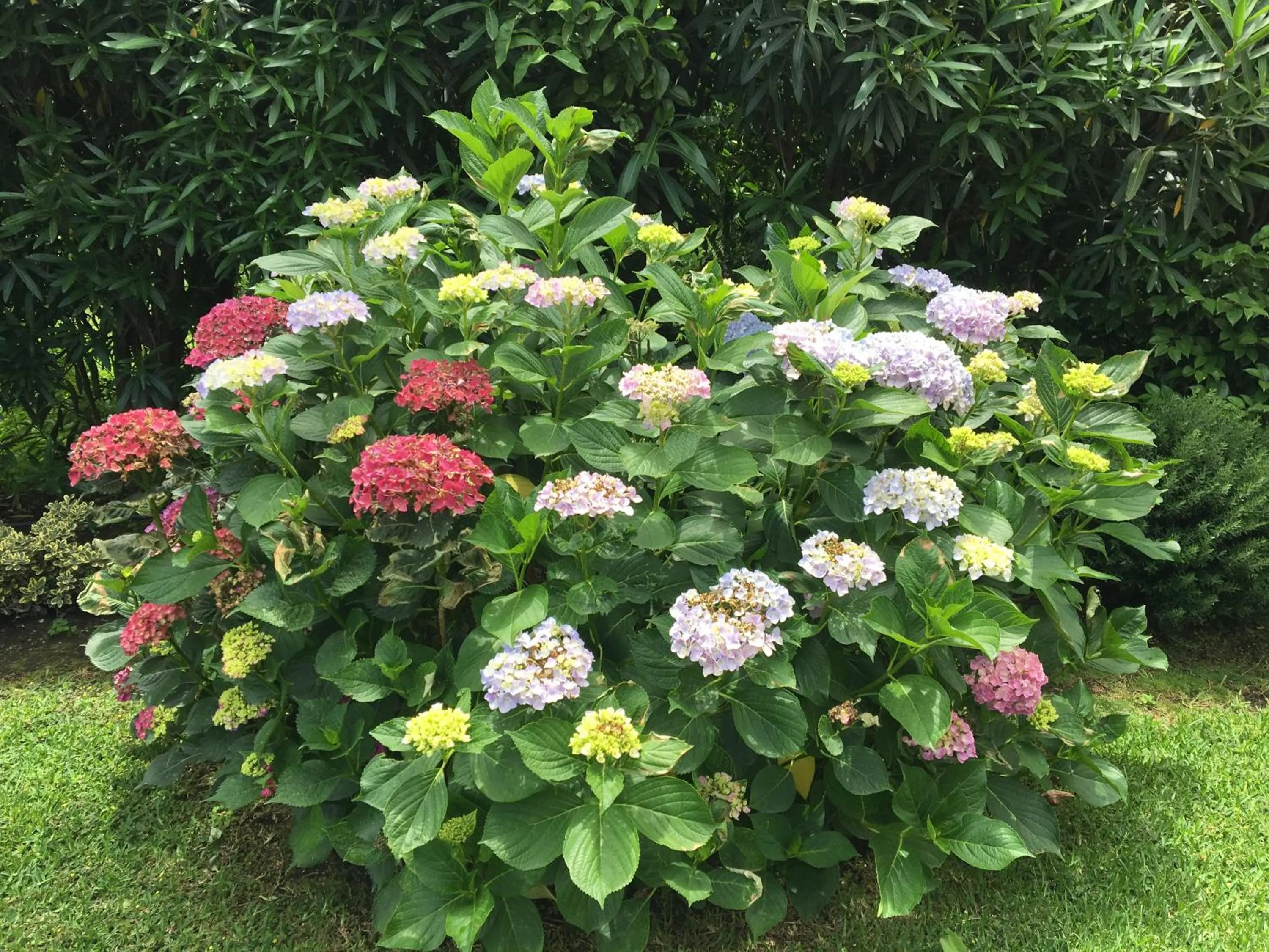 Garden in Feudogrande Bio Relais Hotel