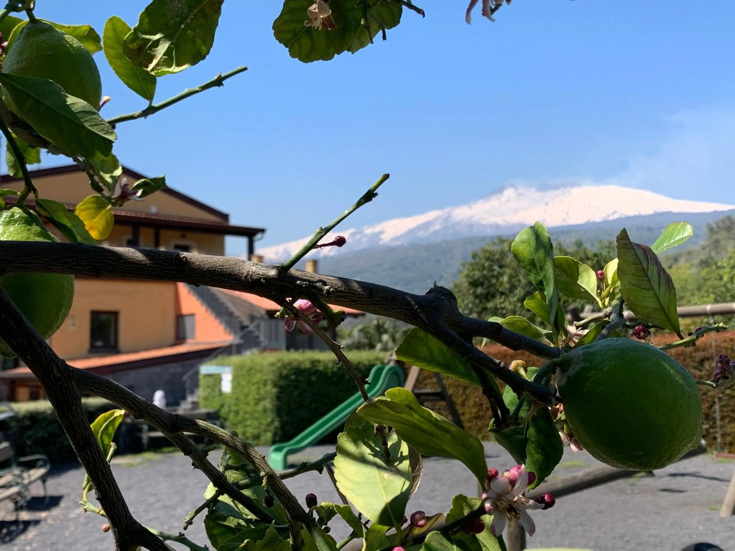 Natural landscape in Feudogrande Bio Relais Hotel