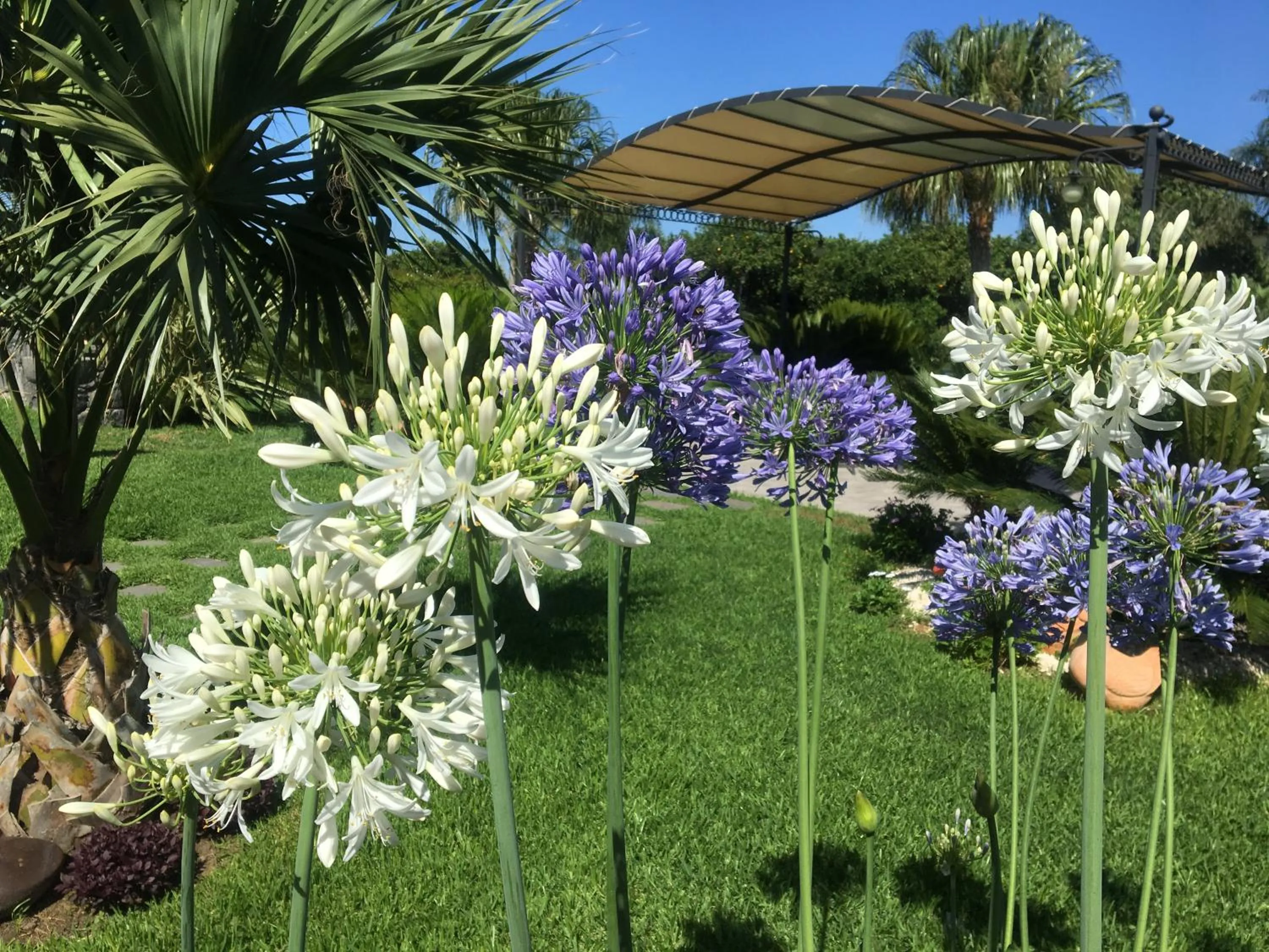 Spring in Feudogrande Bio Relais Hotel