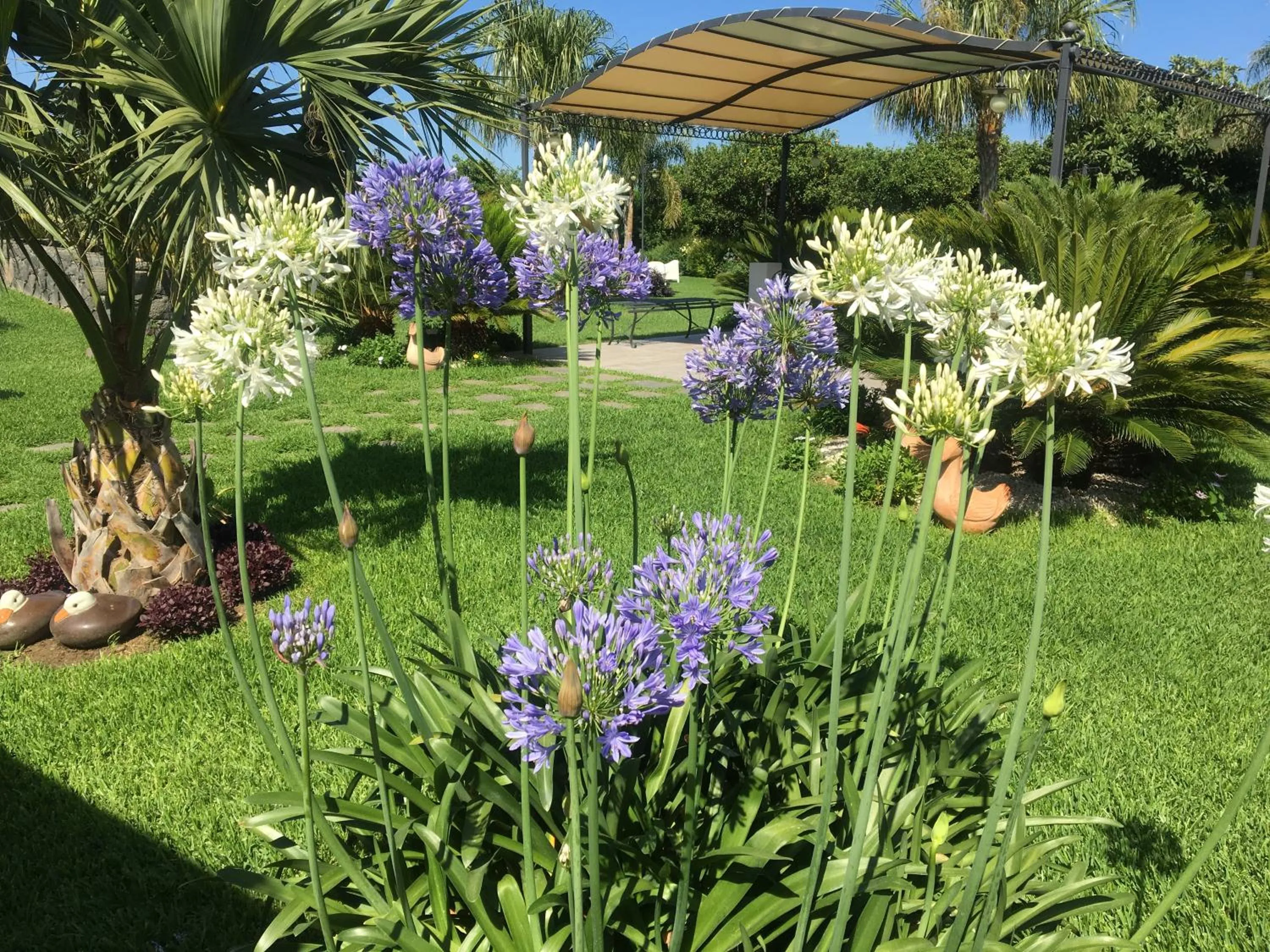 Spring in Feudogrande Bio Relais Hotel