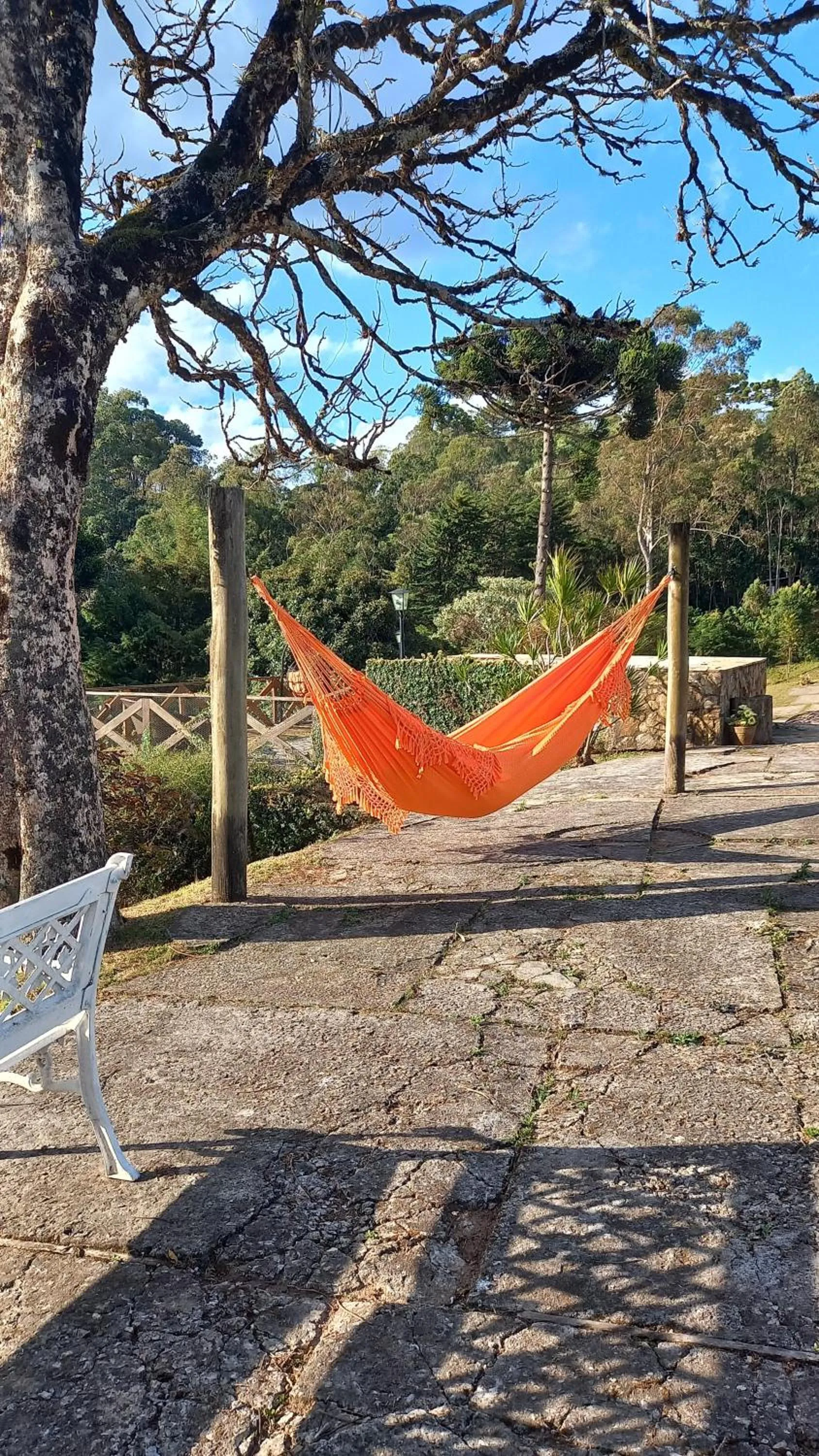 Garden view in Pousada Village Por do Sol by Concavus