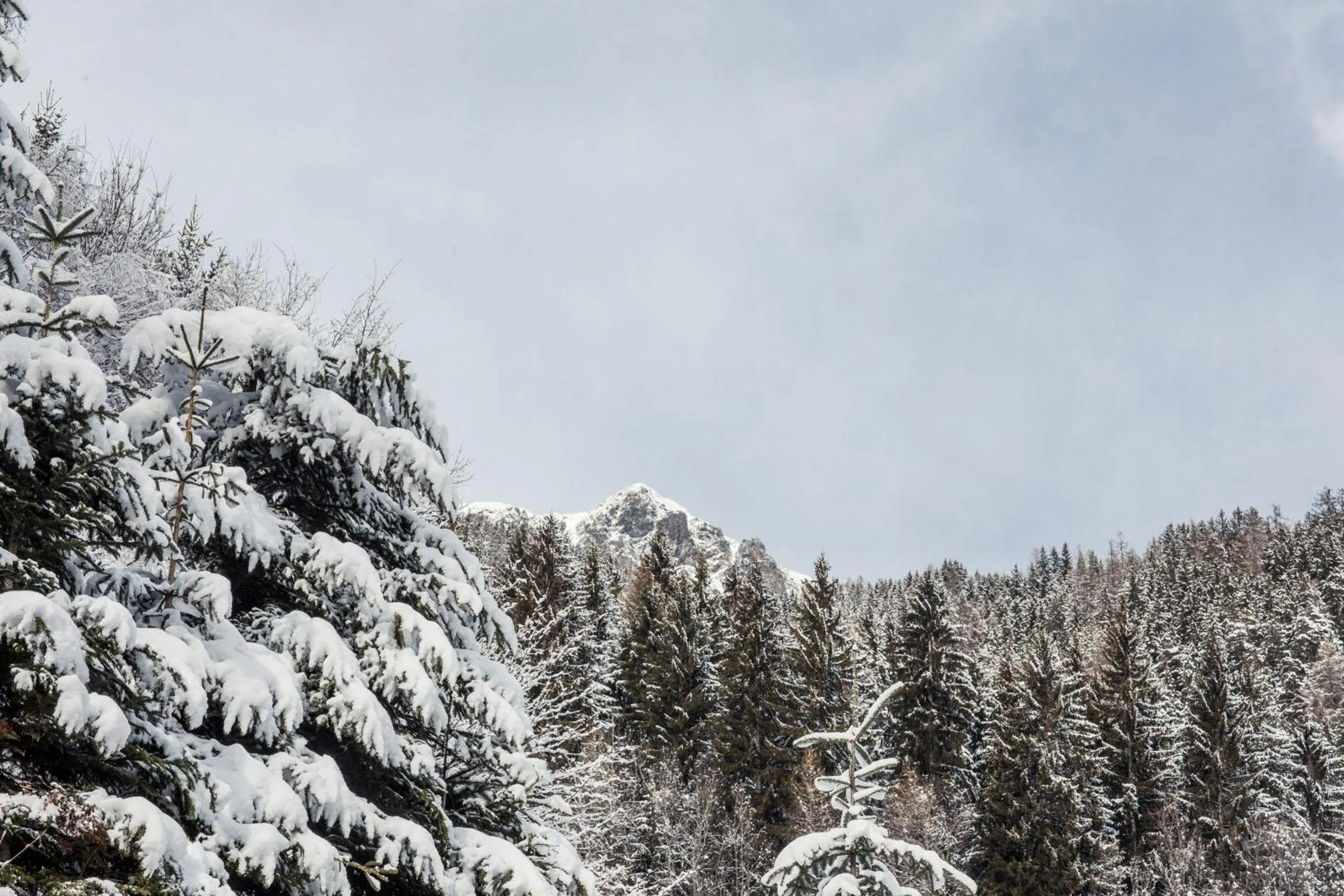 Winter in Hotel Alpenhof