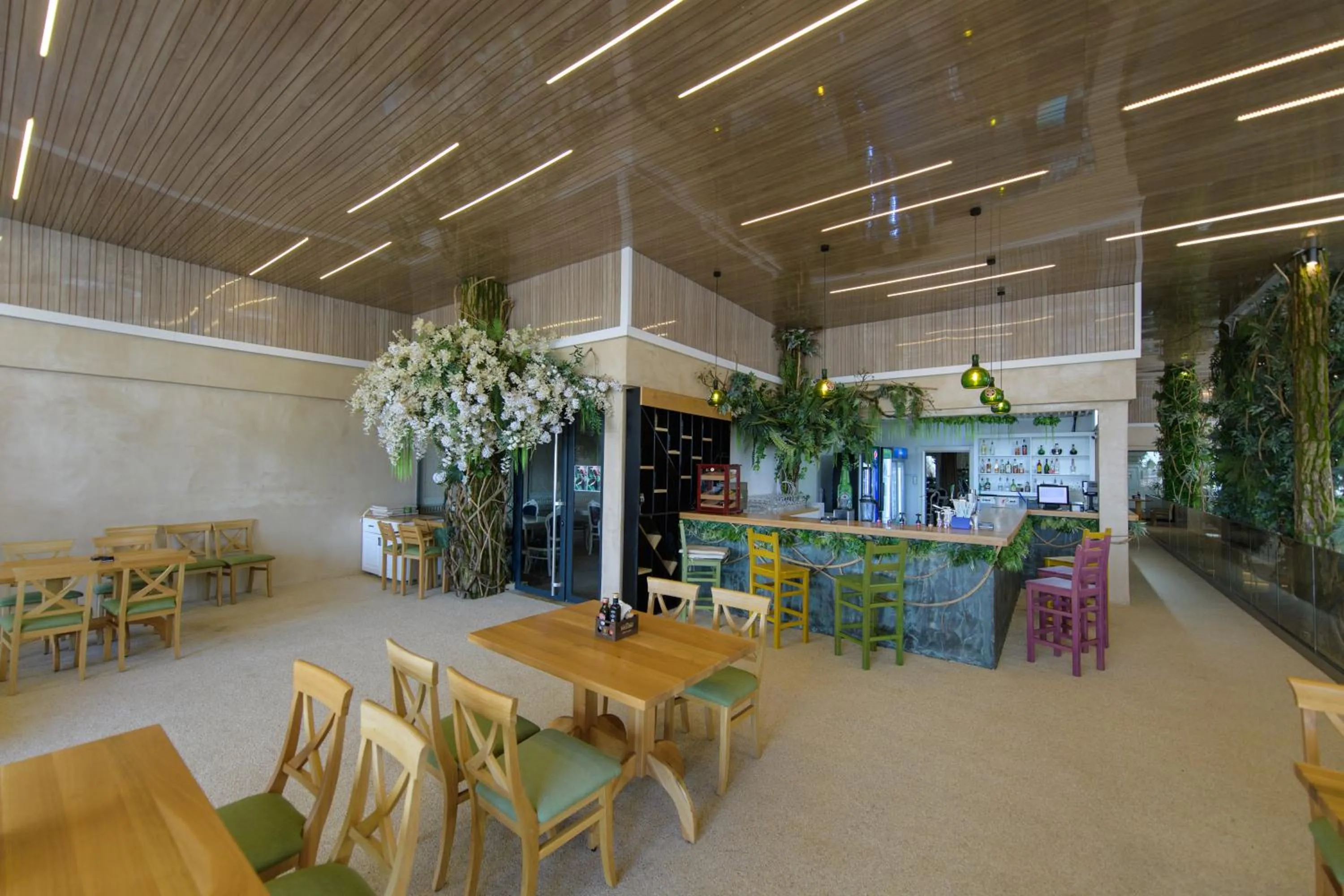 Restaurant/places to eat in Hotel Terra