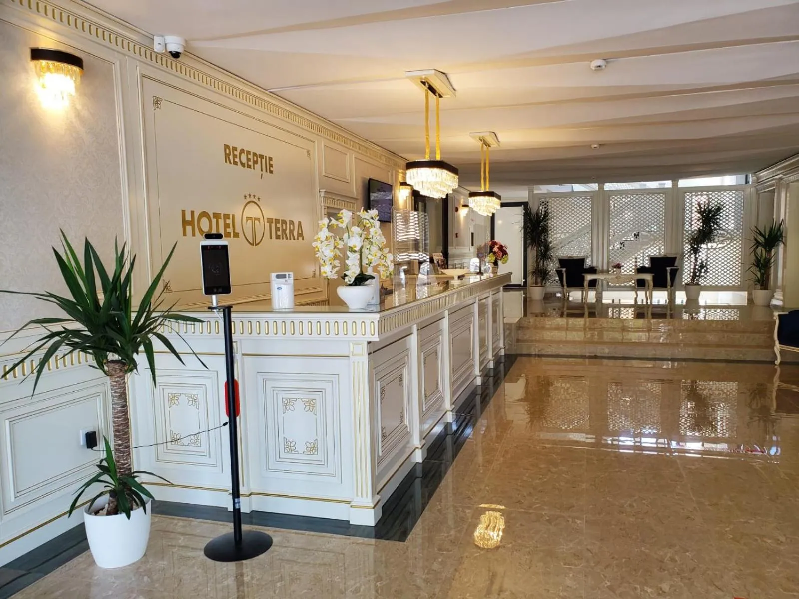 Lobby or reception in Hotel Terra