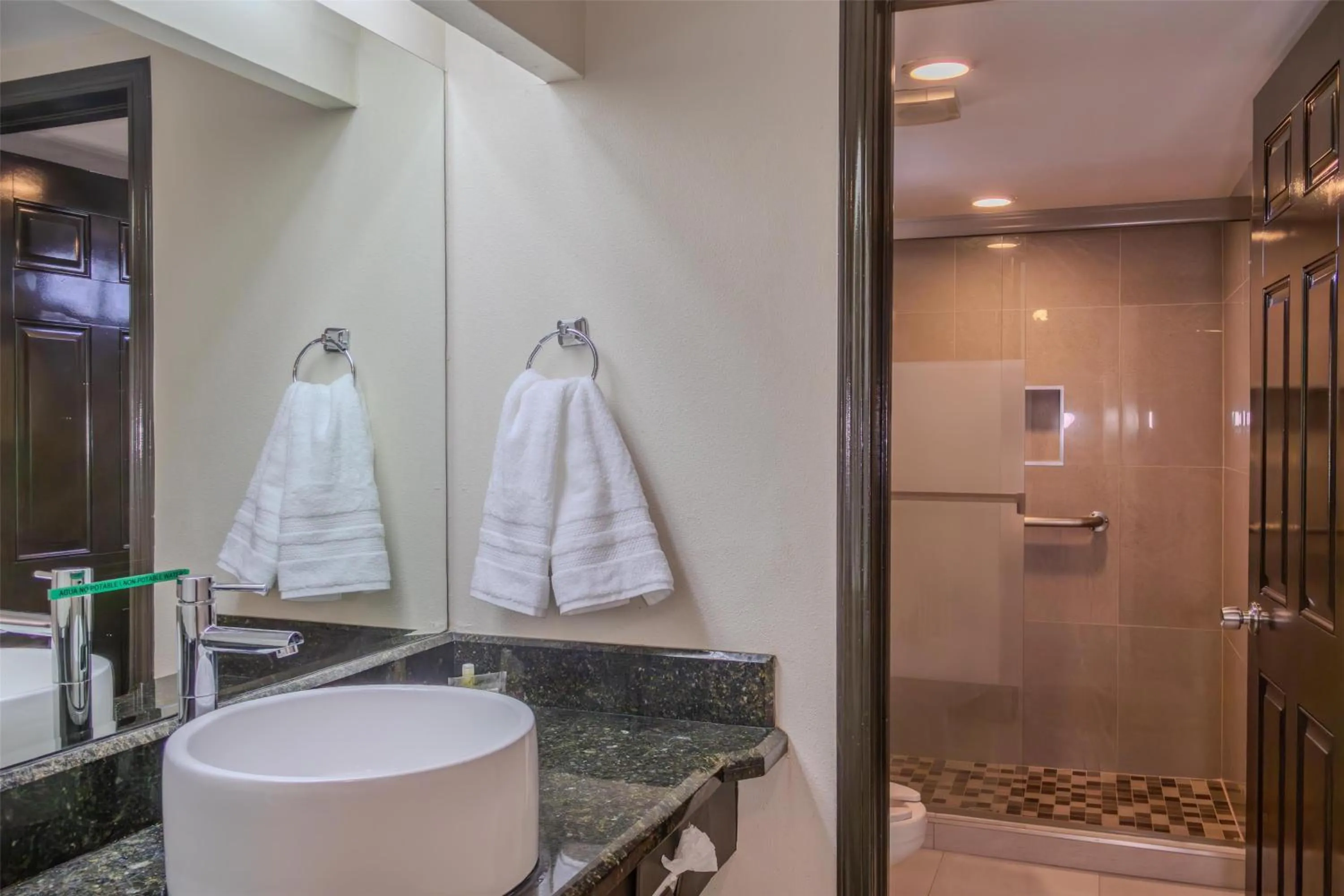 Bathroom in Best Western Hotel Plaza Matamoros
