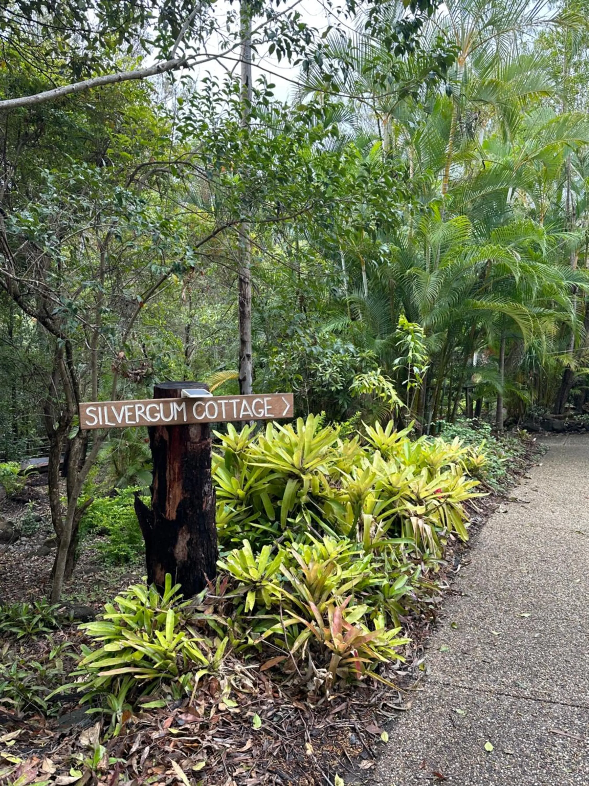 Natural landscape in Hunchy Hideaway