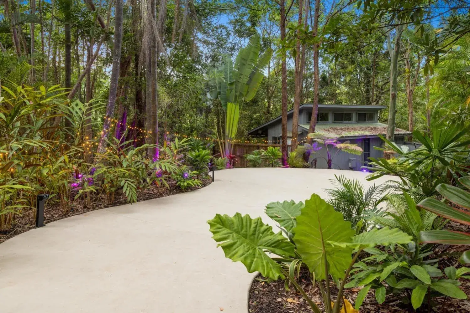 Hunchy Hideaway Hunchy Hideaway