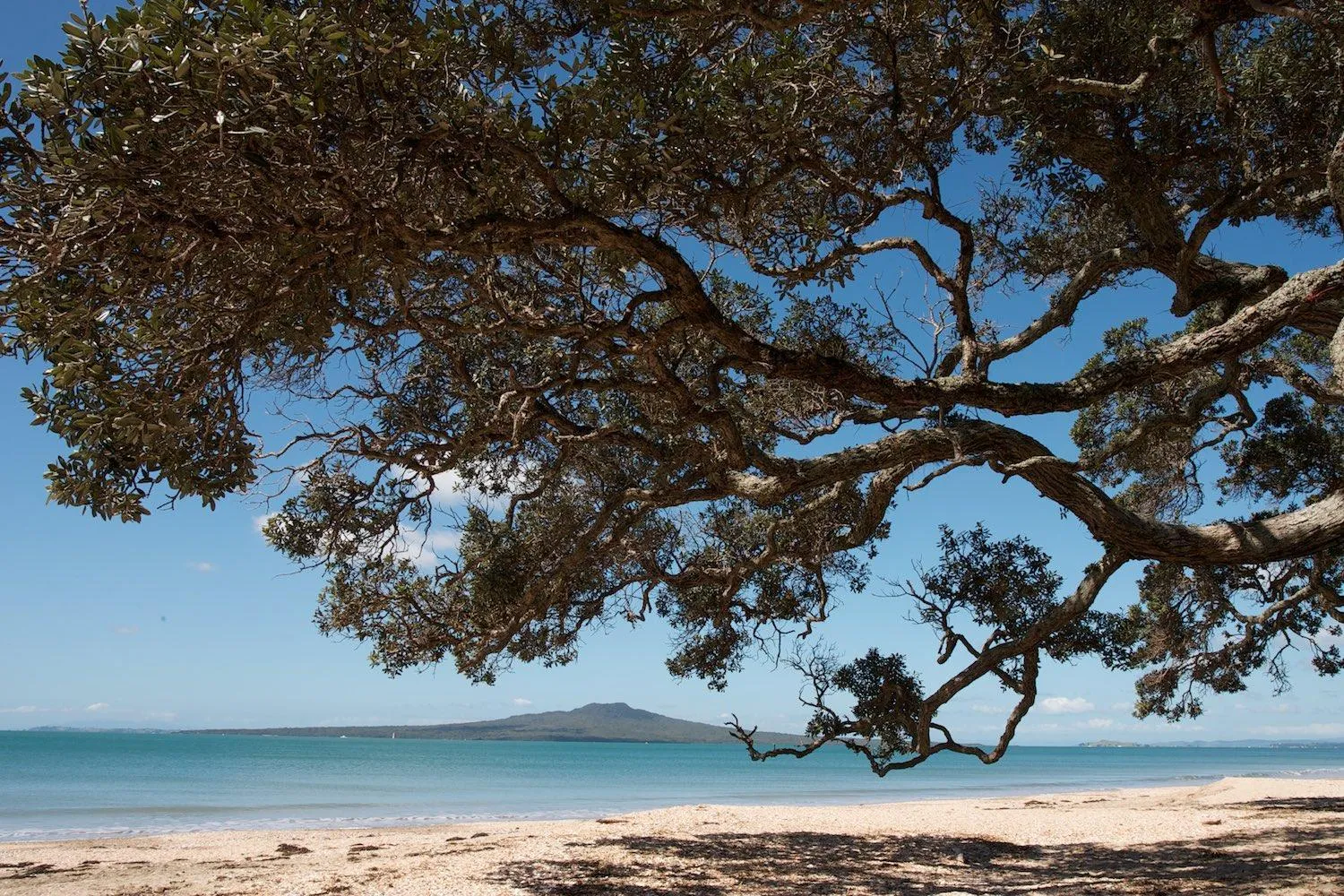 Auckland Waterfront Serviced Apartments on Prince's Wharf