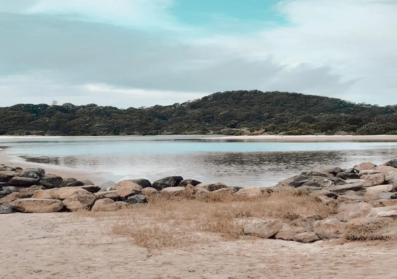 Natural landscape in Red Star Palm Beach