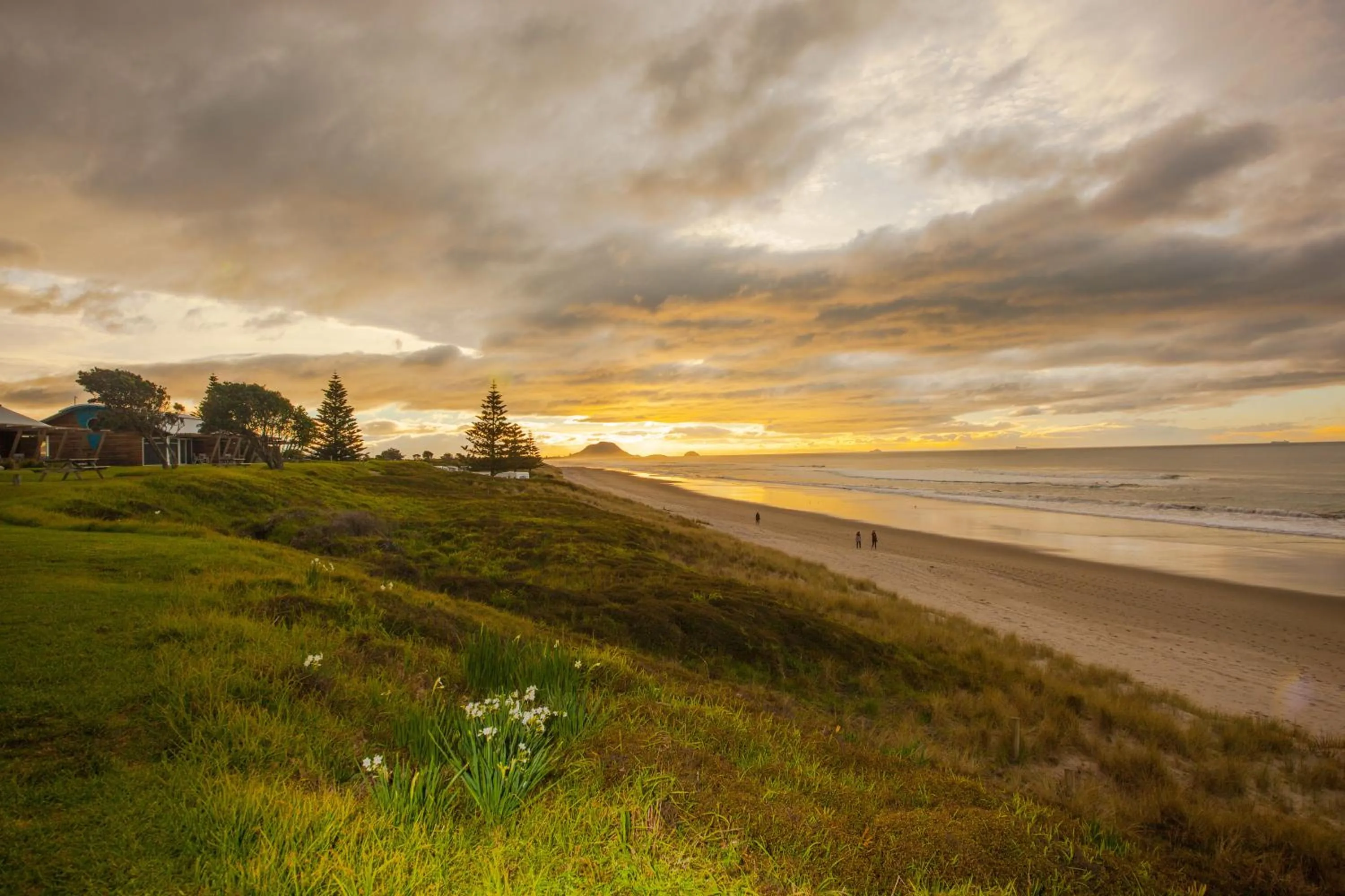 Beach in Tasman Holiday Parks - Papamoa Beach