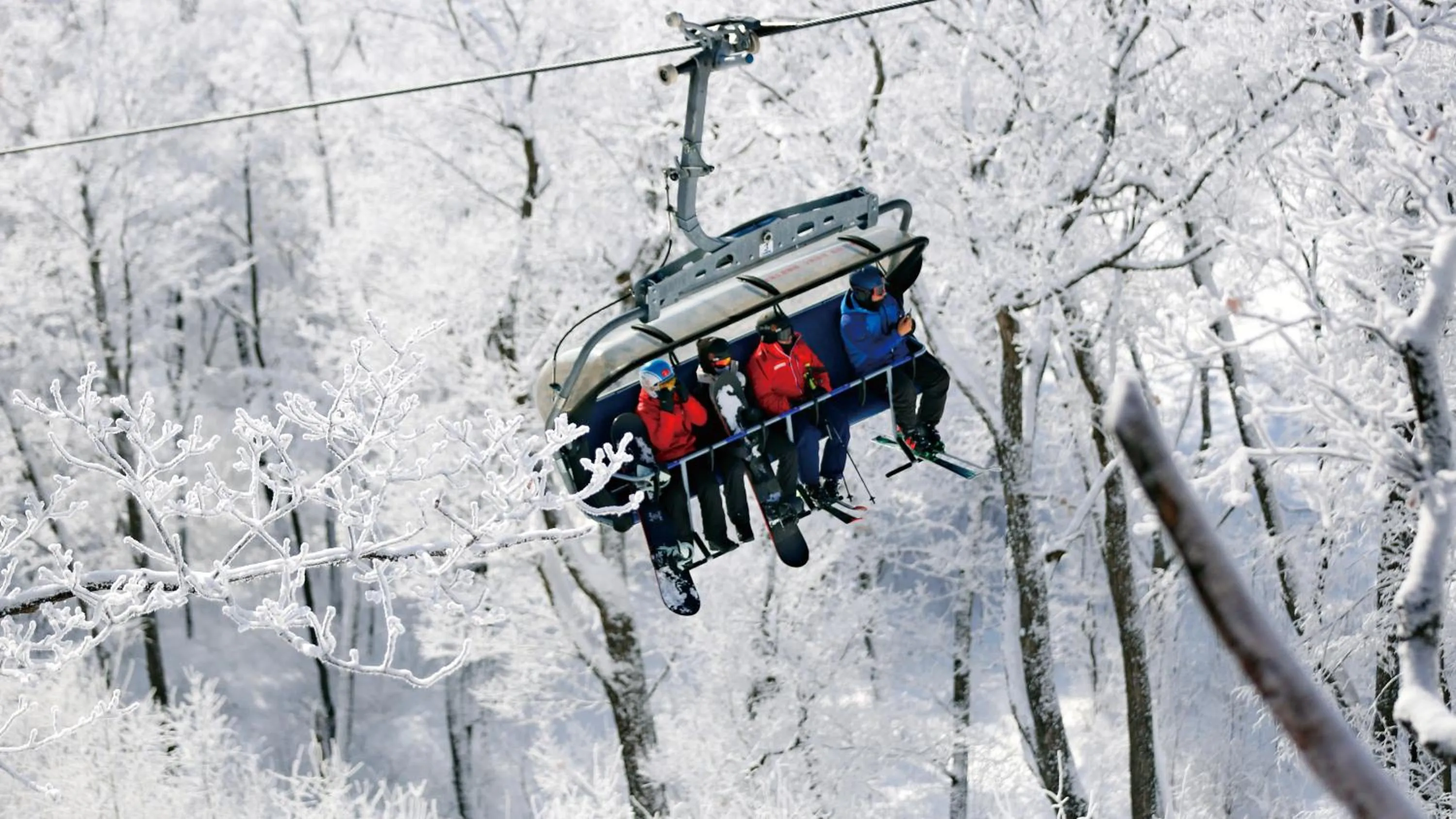 Other in Wanda Jin Suites Changbaishan