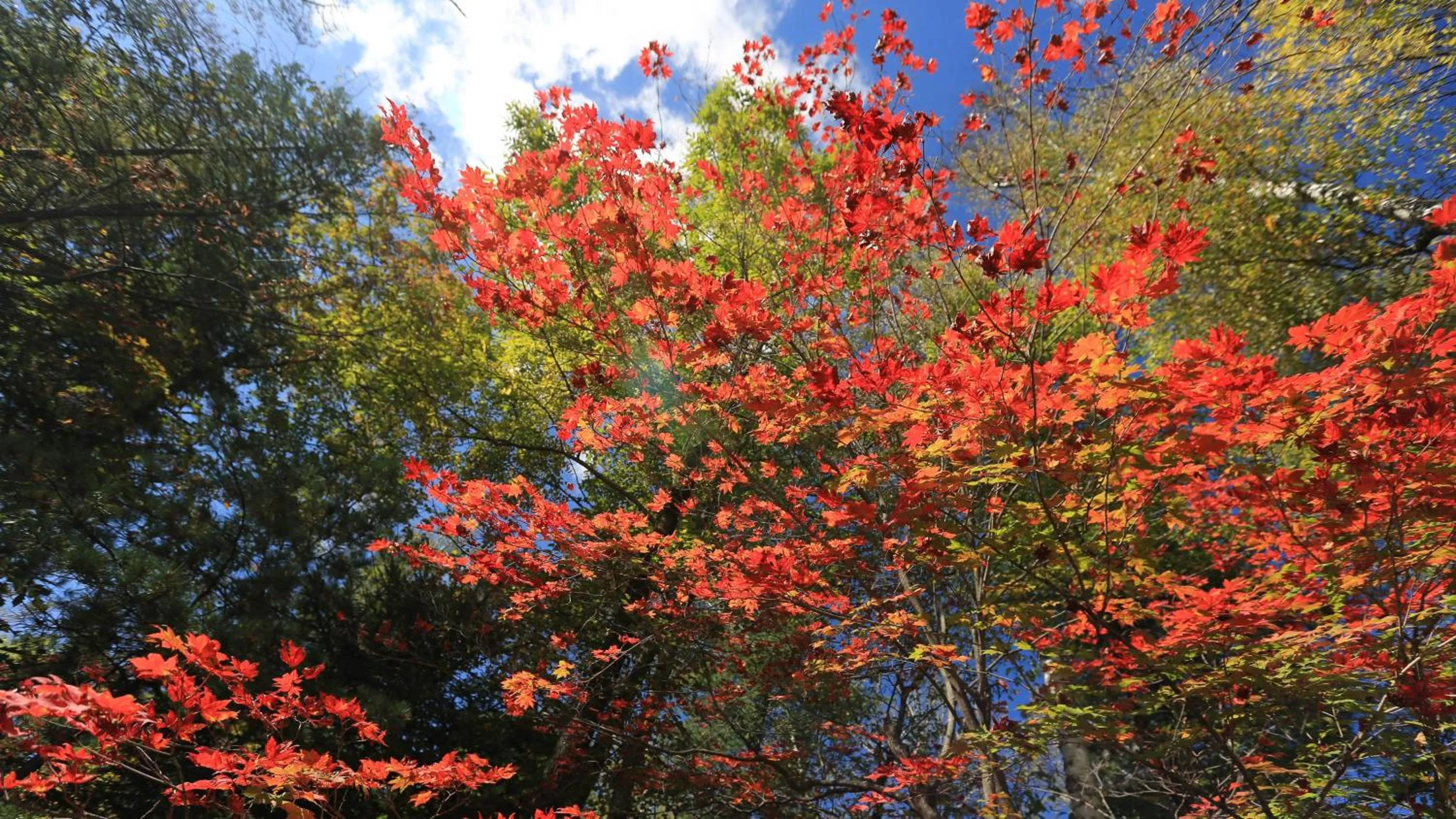 Property building in Wanda Jin Suites Changbaishan