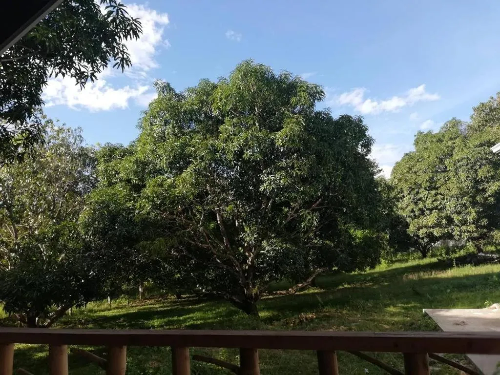 Balai Mariacaria Pension House