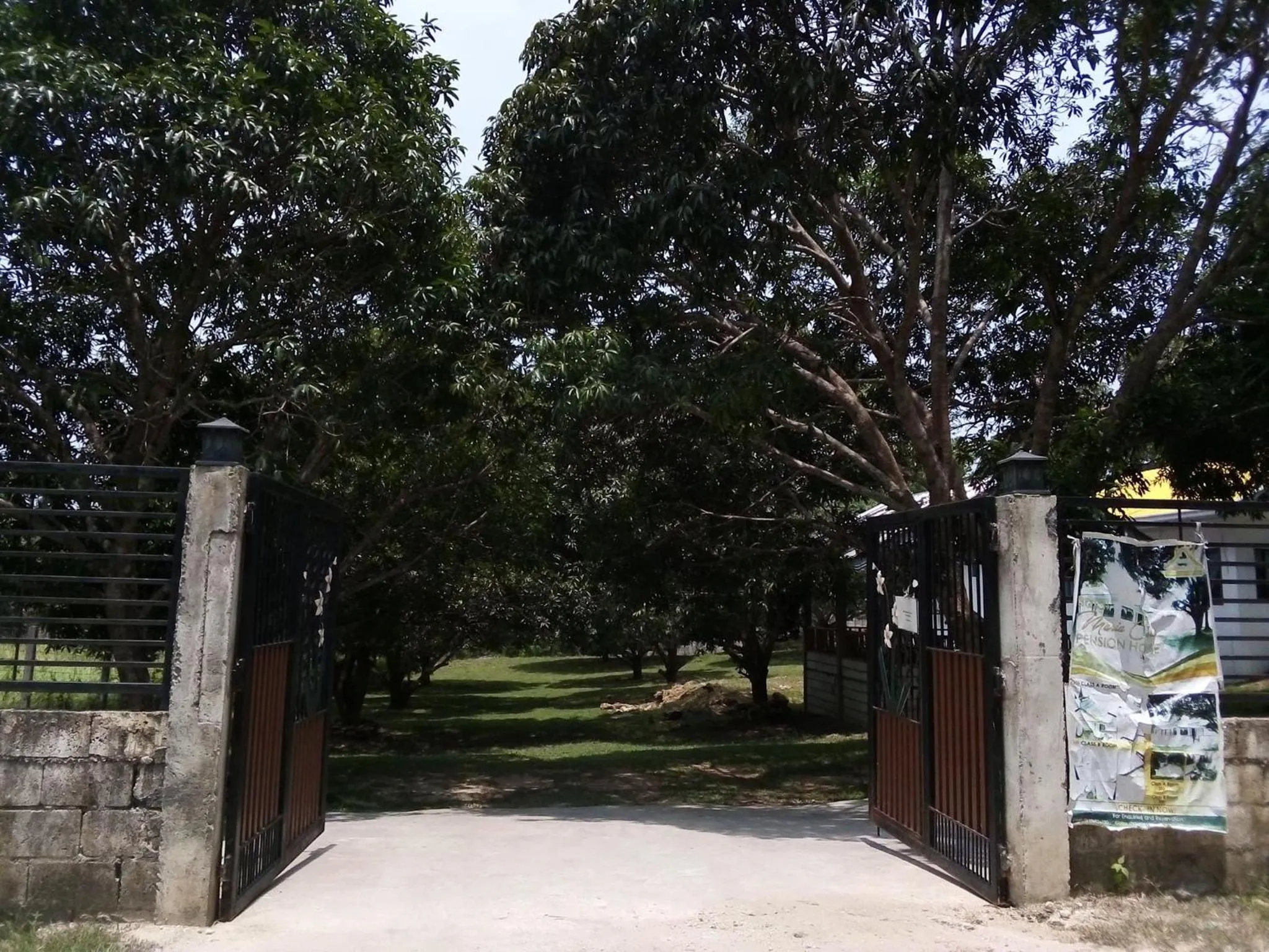 Natural landscape in Balai Mariacaria Pension House