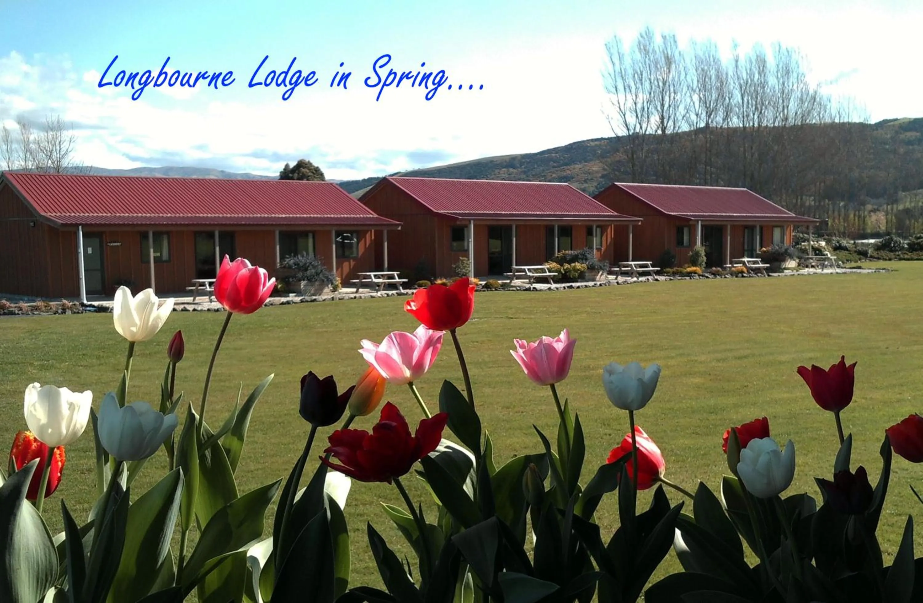 Garden in Longbourne Lodge Motel Mosgiel